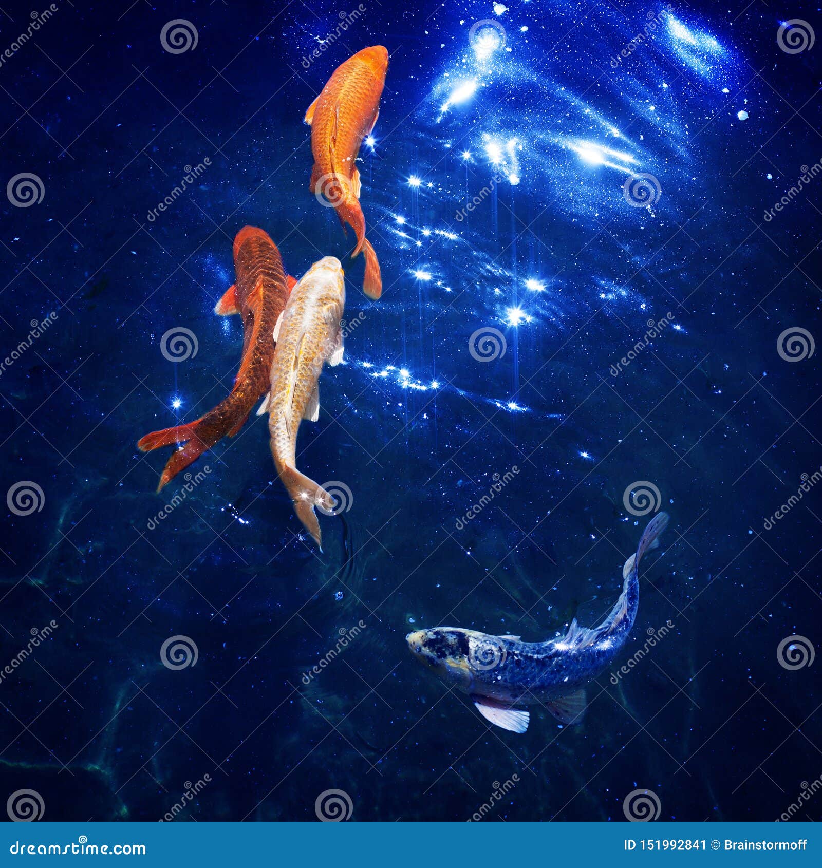 Koi Fish: Shining Jewels of the Water Garden