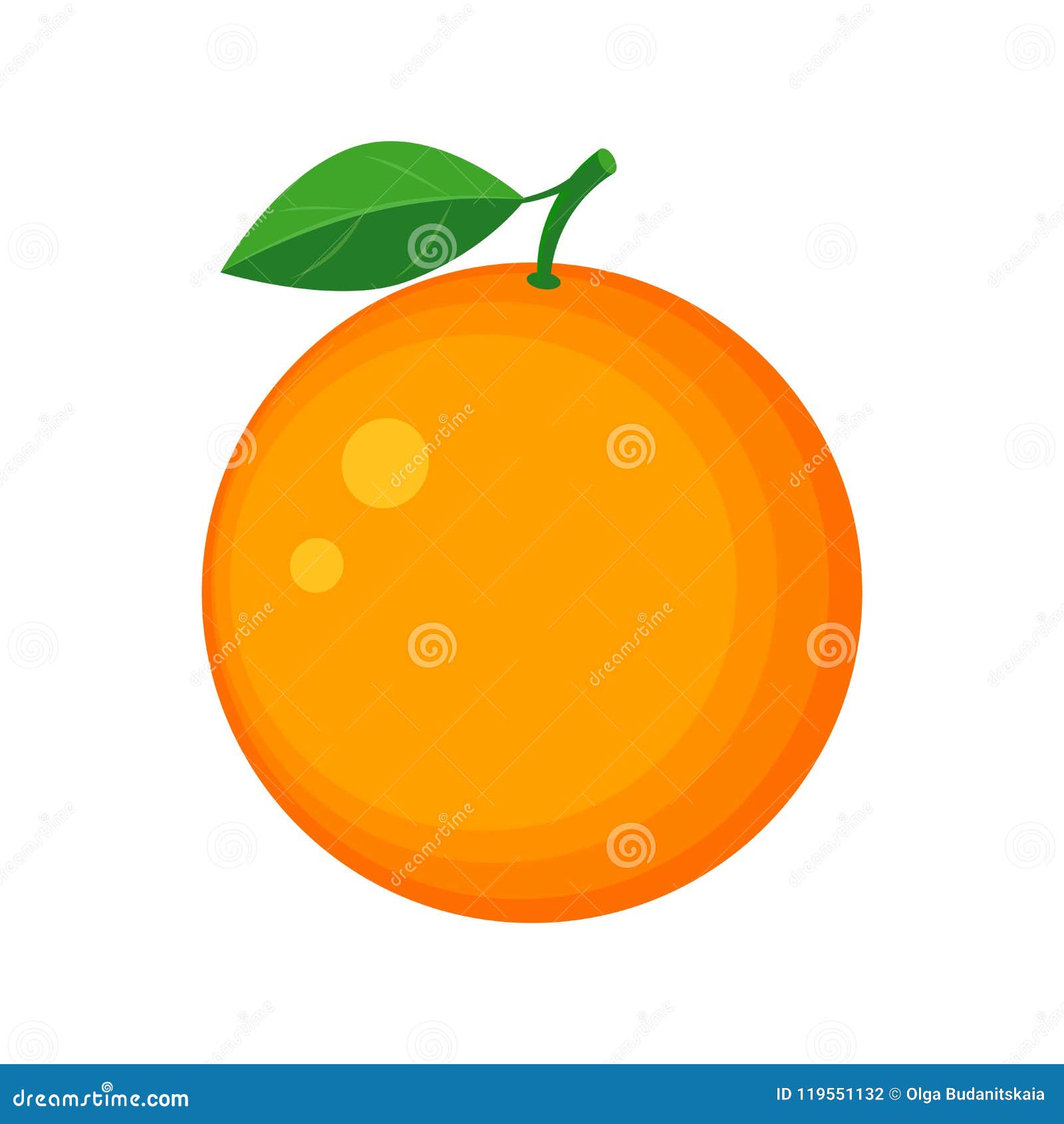 Colorful Juicy Orange Fruit Vector Illustration Isolated on Whit Stock