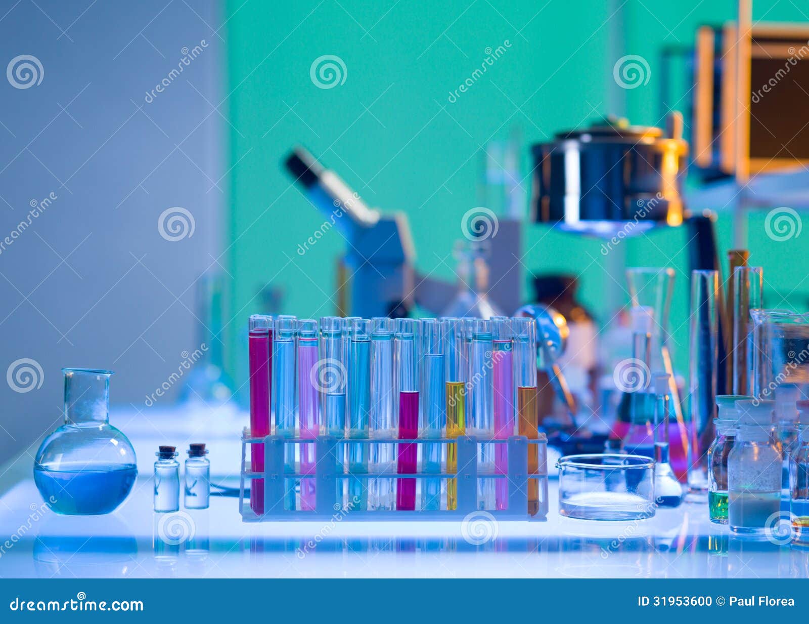 download Observing and Measuring Visual Double