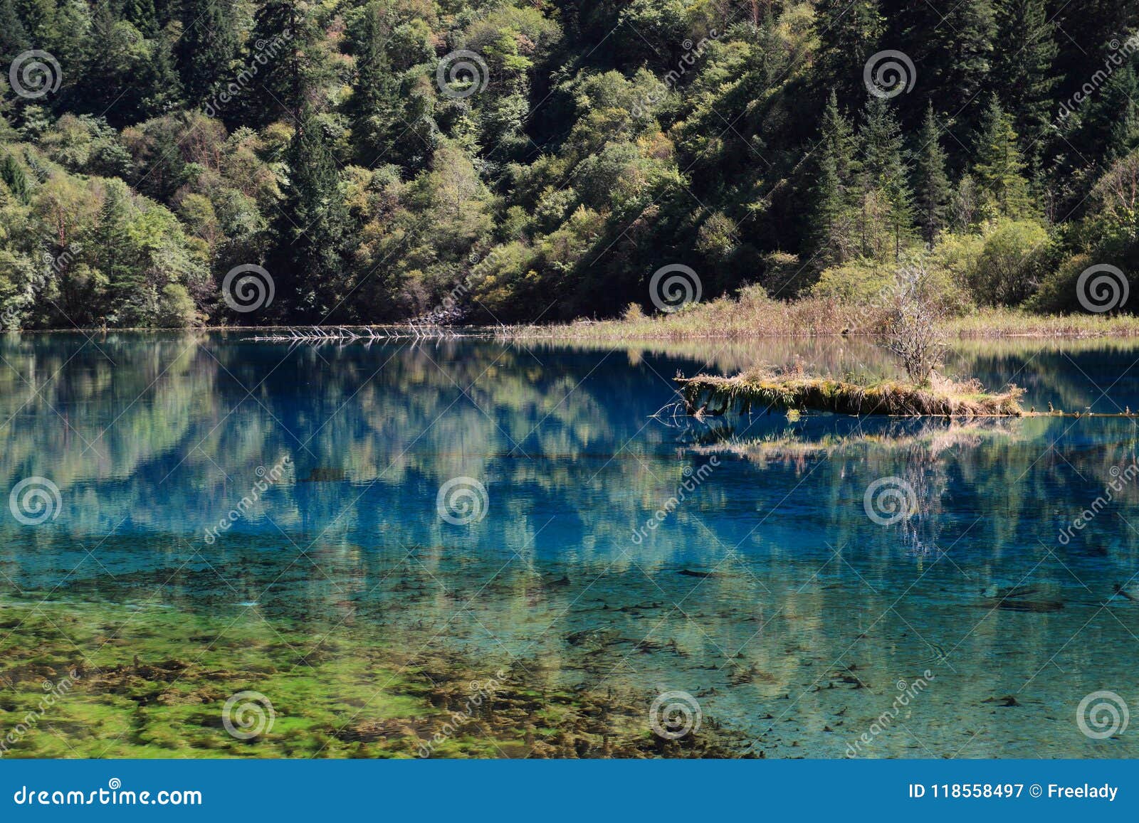 Colorful Lake In Jiuzhaigou National Park Of Sichuan China Stock Image