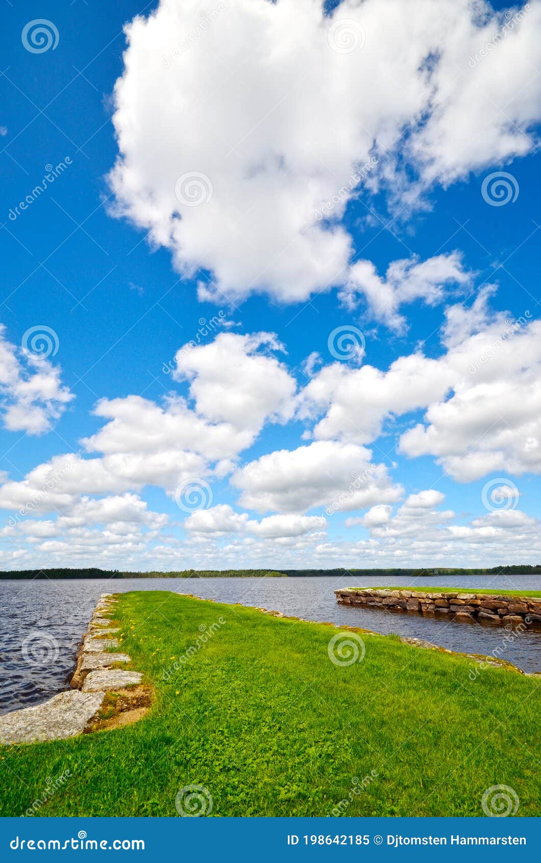 colorful landscapes background sunny day