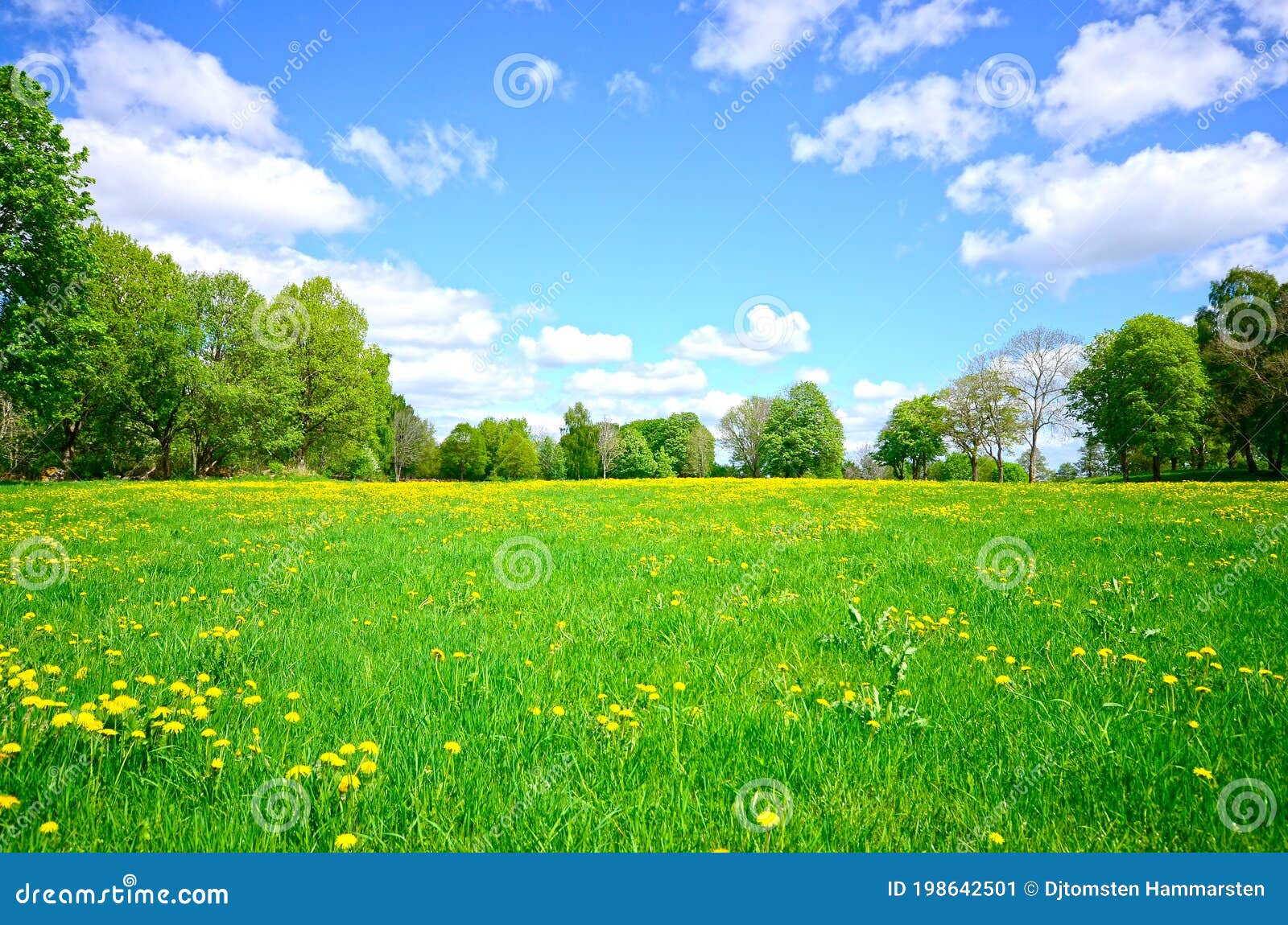 colorful landscapes background sunny day