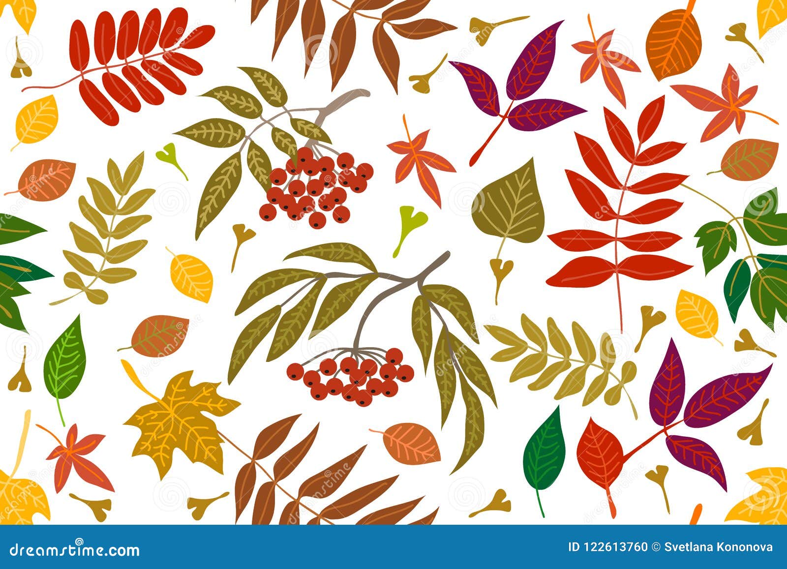 Colorful Leaves and Rowan on Contrast Background. Stock Vector ...