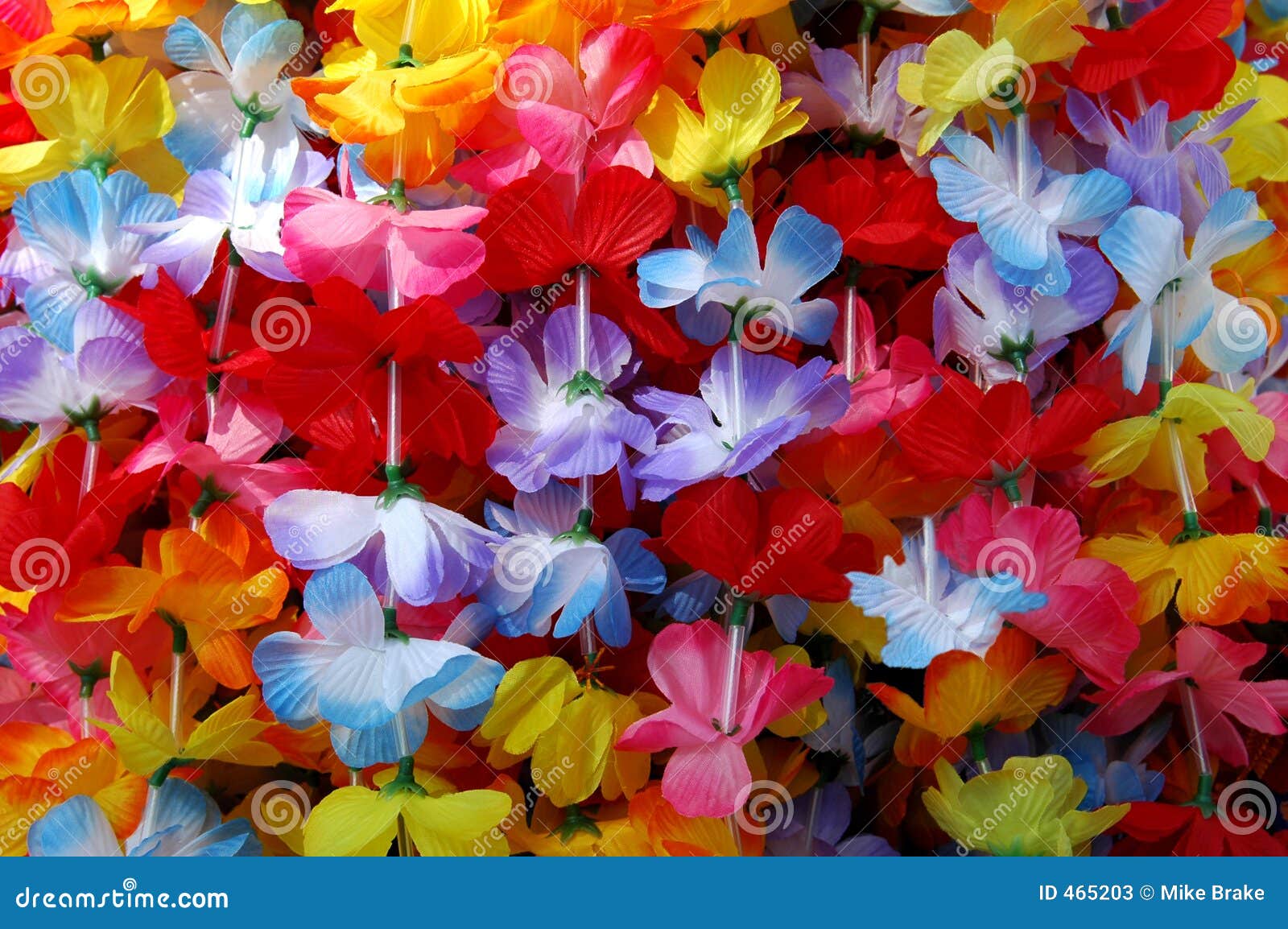 Colorful Leis Stock Image Image Of Flower Paradise Effy Moom Free Coloring Picture wallpaper give a chance to color on the wall without getting in trouble! Fill the walls of your home or office with stress-relieving [effymoom.blogspot.com]