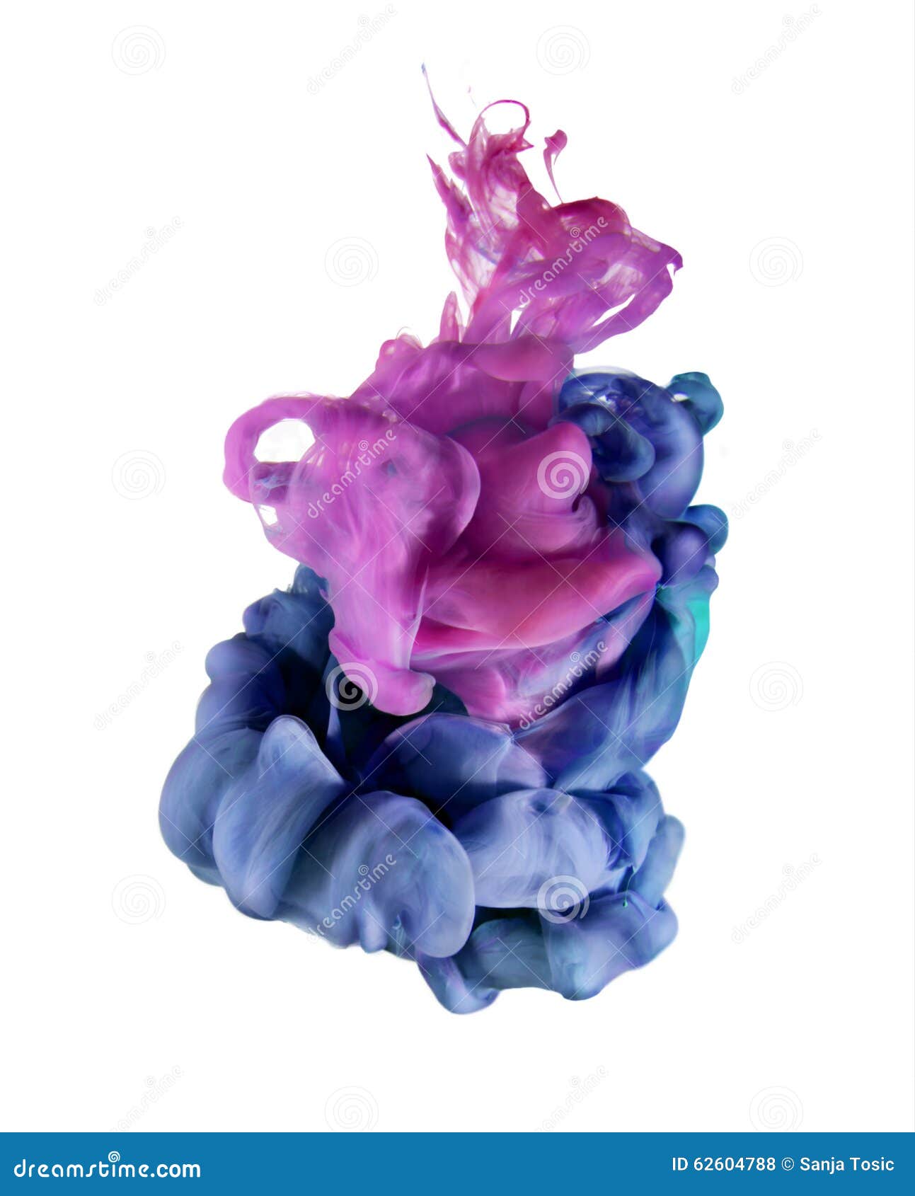 Colorful Liquids Underwater. Violet Blue and Magenta Pink Color ...