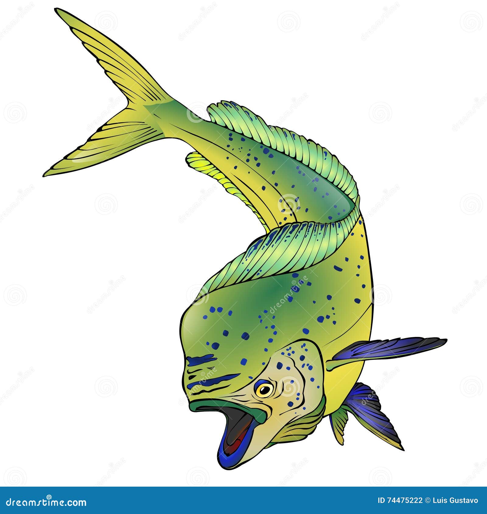 Colorful Mahi Mahi Fish Vector Illlustration Stock Vector