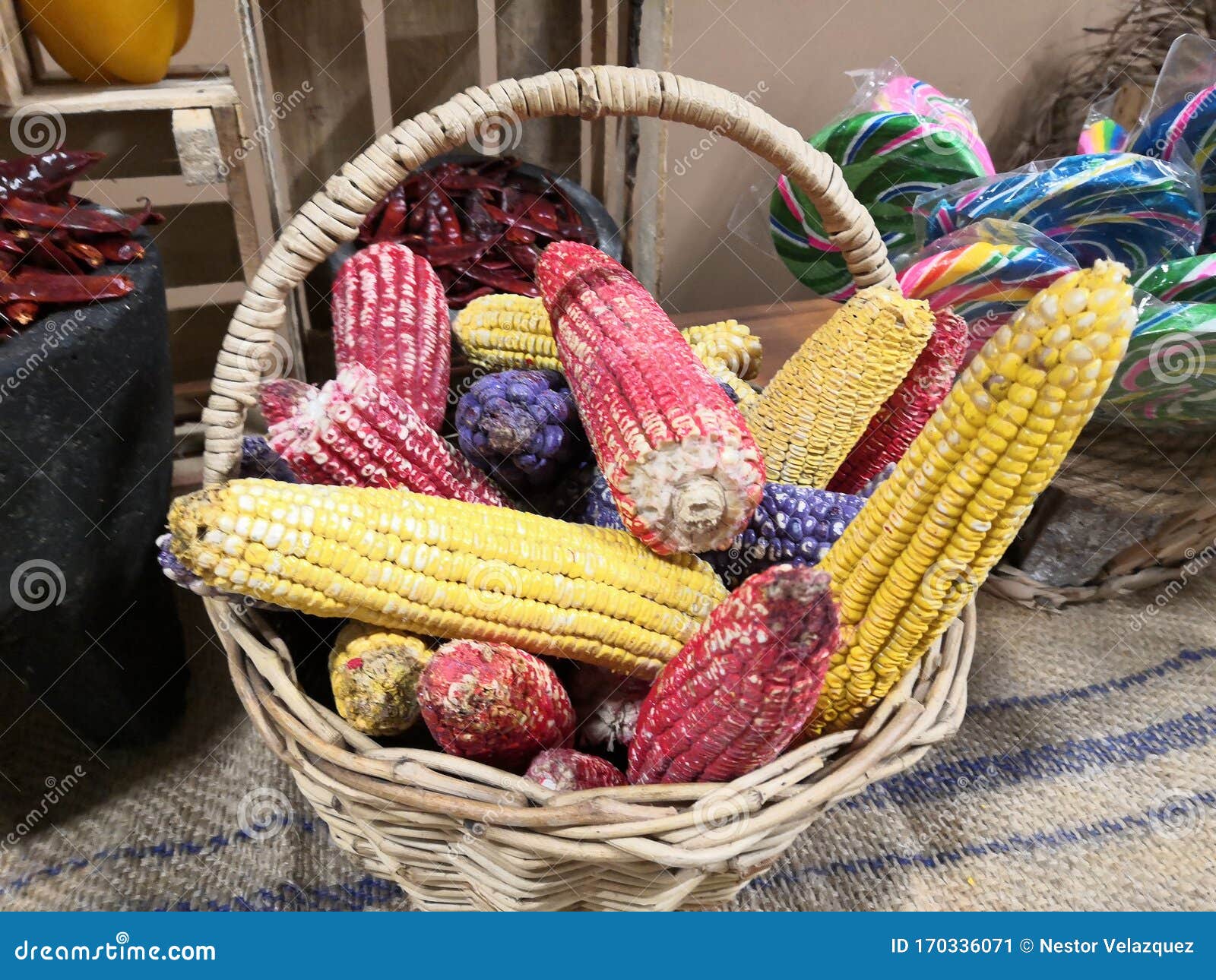colorful mexican corn diferent