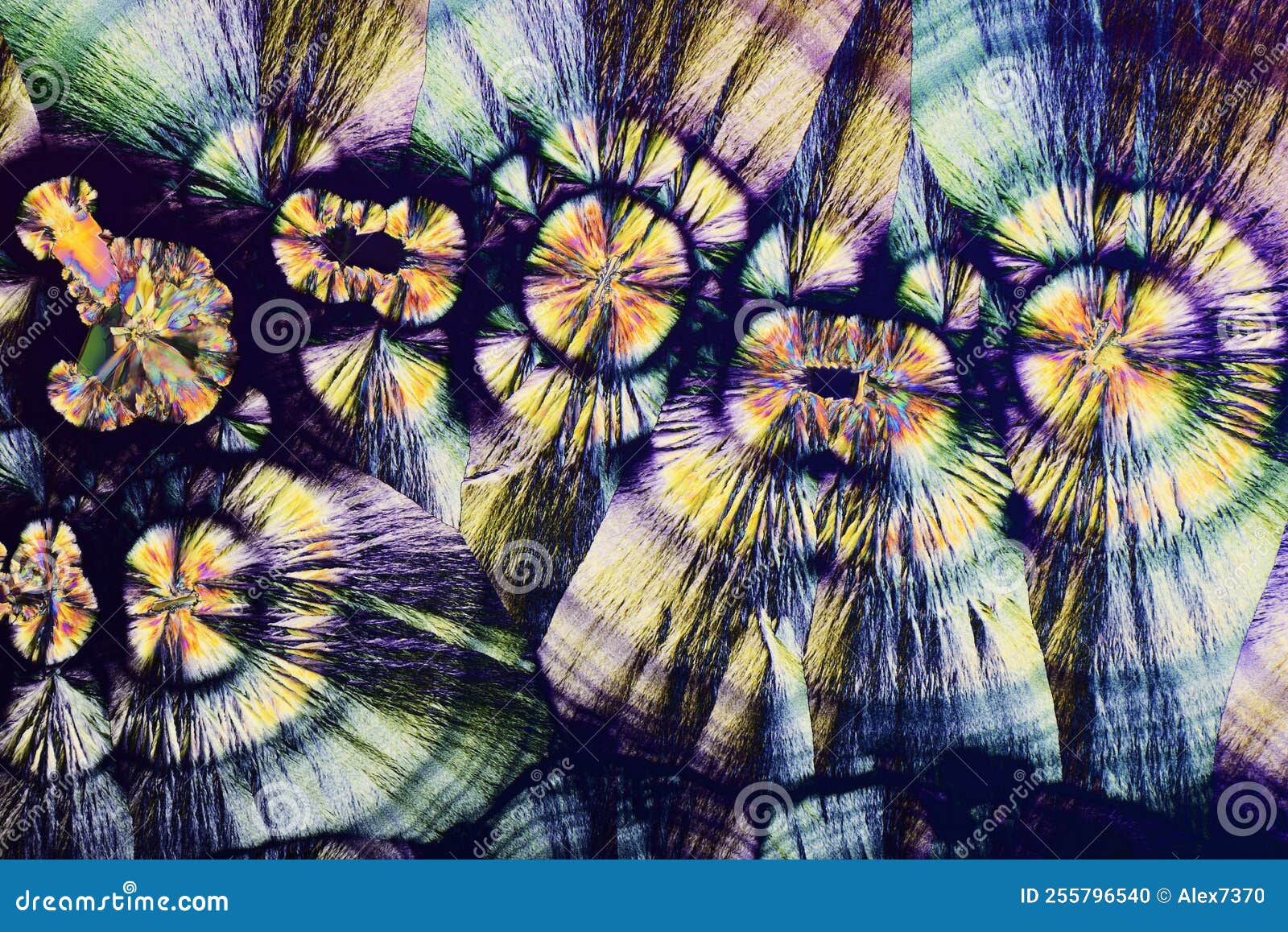 colorful micro crystals in polarized light. photo through a microscope