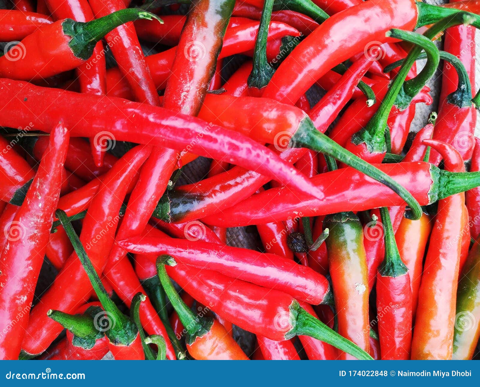 colorful mix of the freshest and hottest red chili peppers