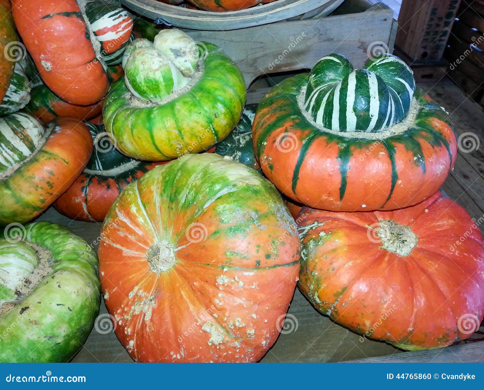 Colorful Odd Shaped Pumpkins Stock Photo - Image of round, colorful ...