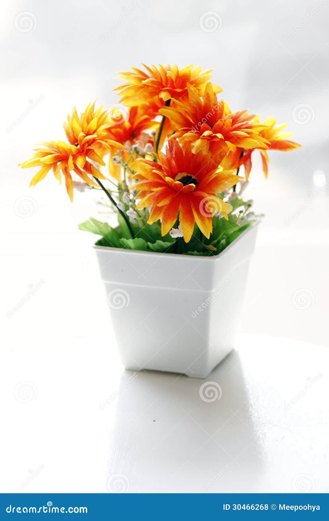 Colorful Is Orange Flowers In A White Vase. Stock Photo Image 30466268
