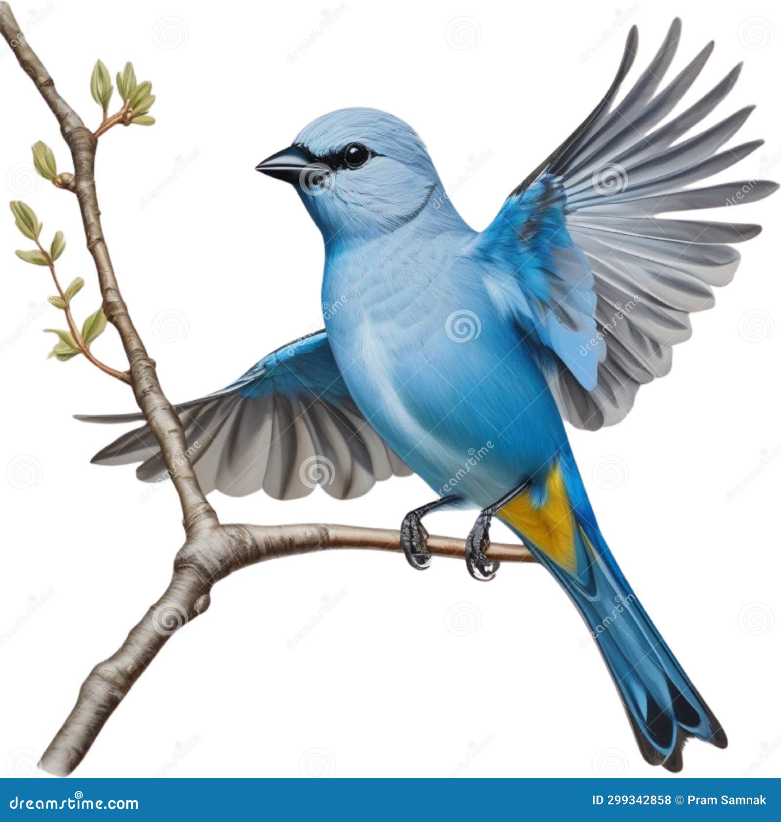 a colorful painting of blue-gray tanager bird. ai-generated.