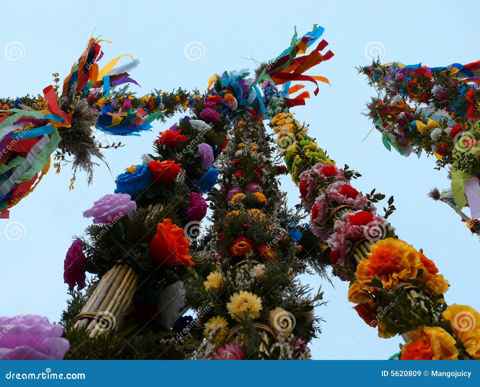 colorful palms - polish easter tradition