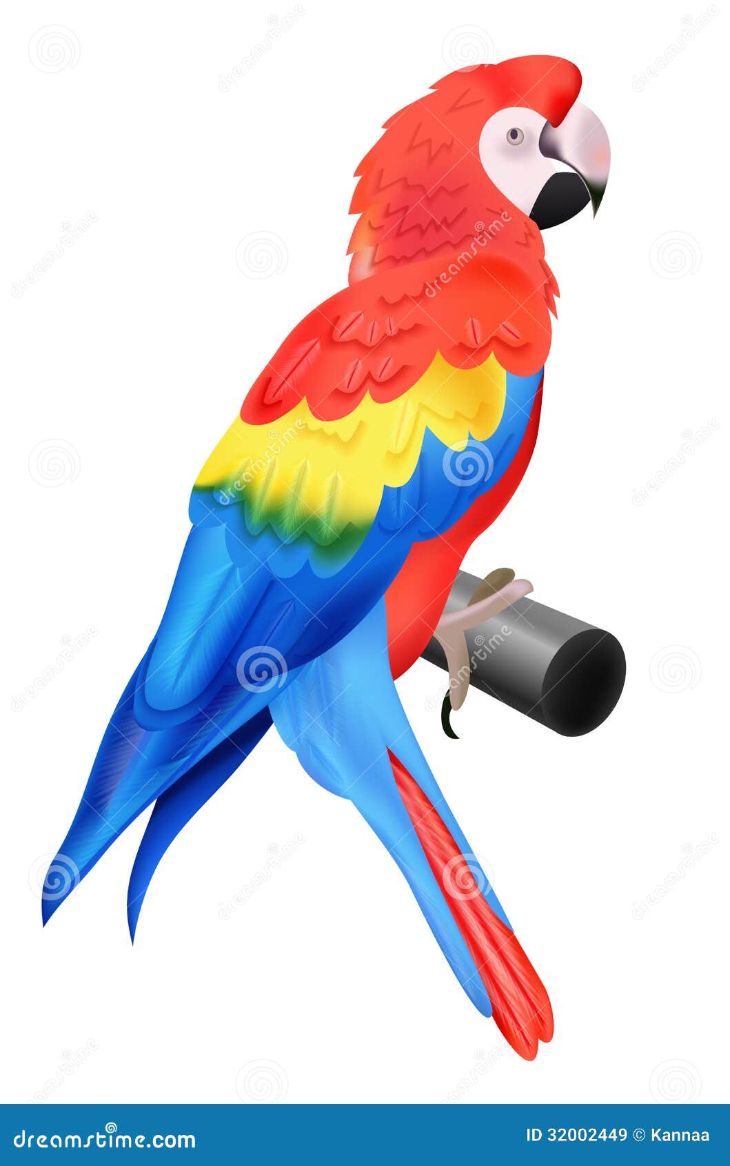 Colorful Parrot Macaw Isolated On White Background Stock Vector - Image