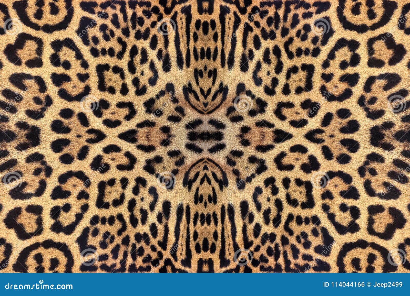 Patterns and Textures of the Jaguar. Stock Photo - Image of wildlife ...