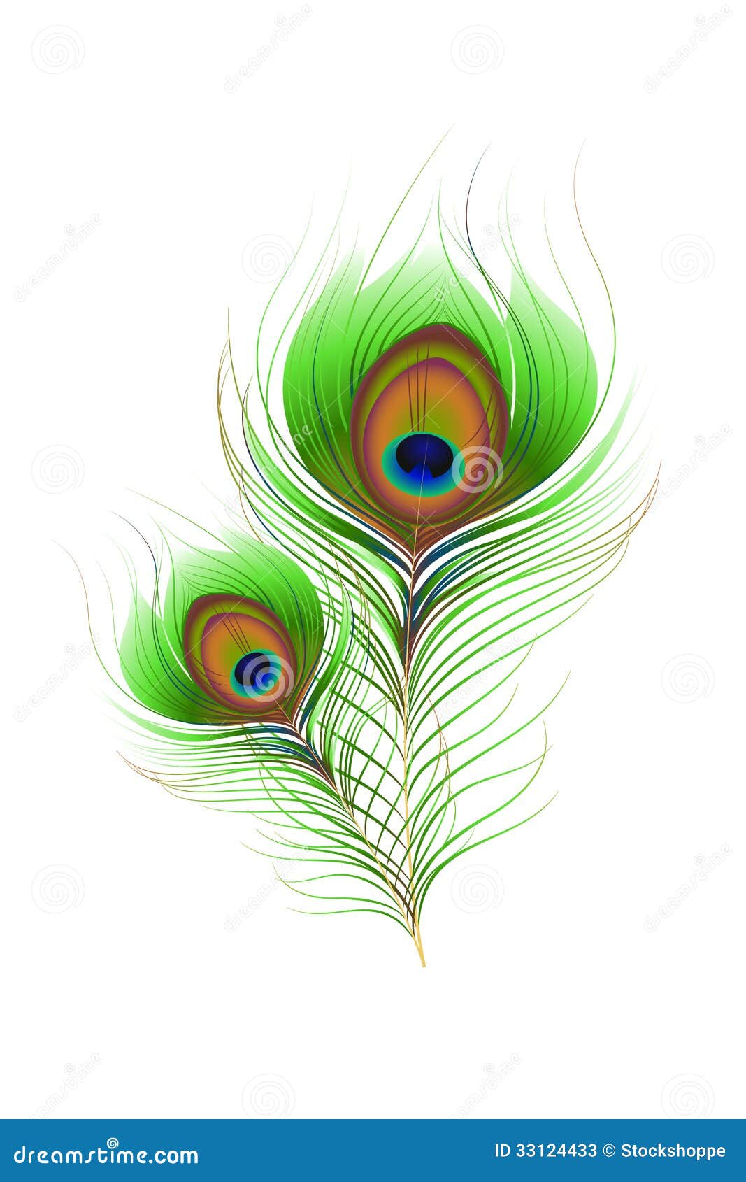 Colorful Peacock Feather stock vector. Illustration of creativity ...