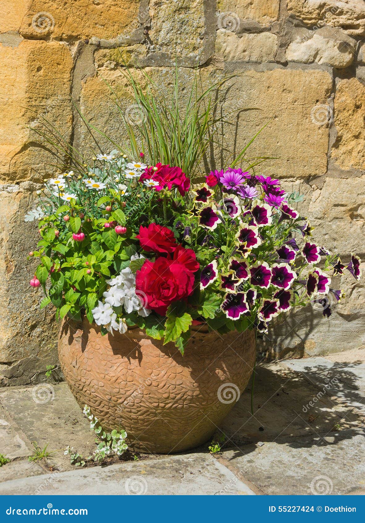 colorful plants in a terracota pot, including begonia, petunia, fuchsia, impatiens