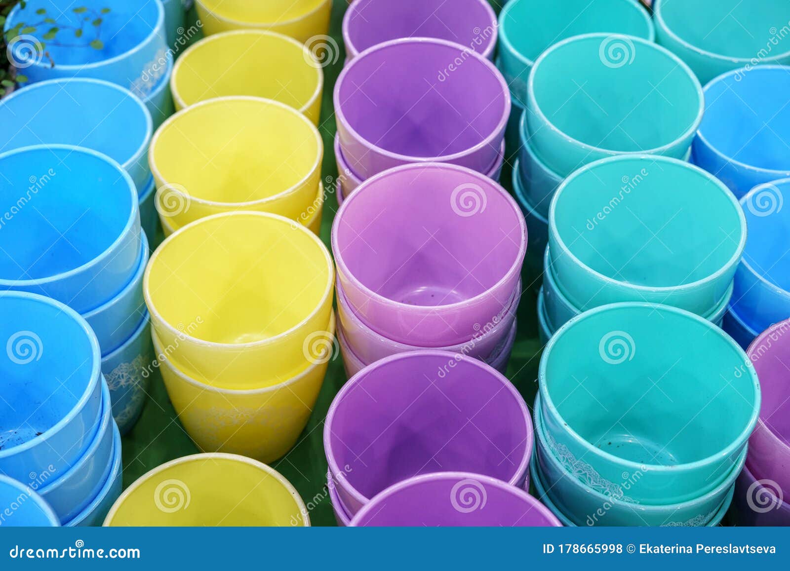 Colorful Plastic Flower Pots Stand in a Row Stock Photo Image of