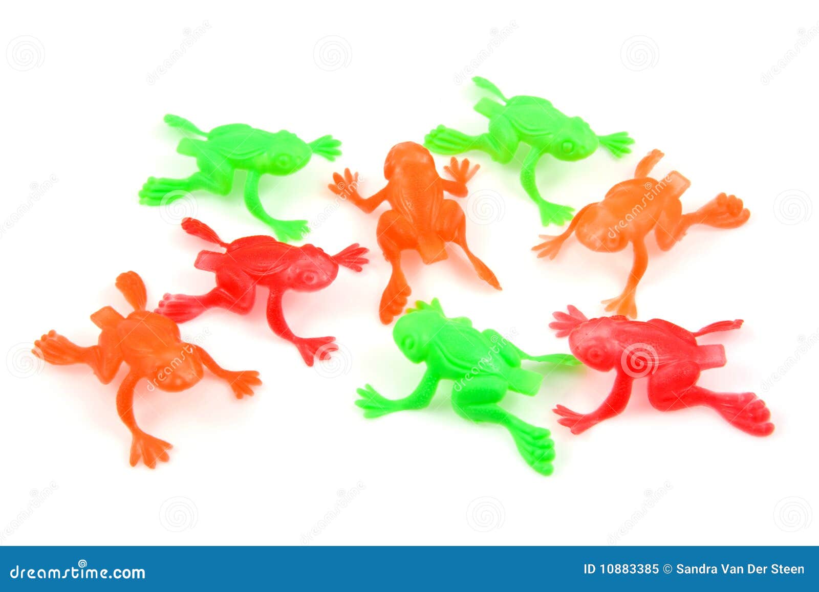 1,050 Plastic Frog Stock Photos - Free & Royalty-Free Stock Photos