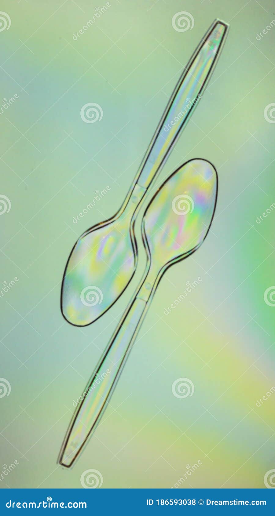 colorful plastic two spoons, elasticity photo