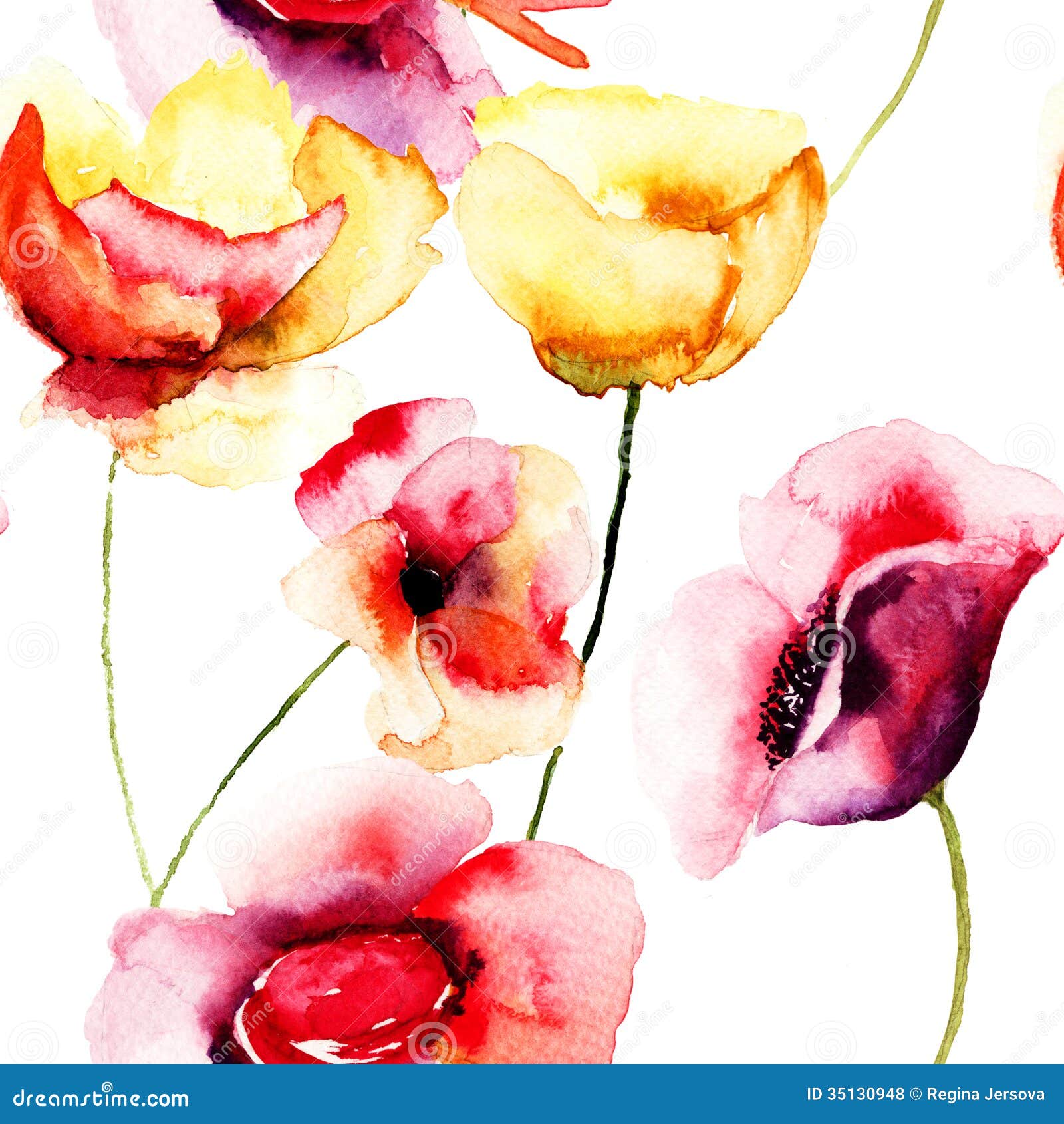 Colorful Poppy Flowers, Watercolor Illustration Stock Illustration ...