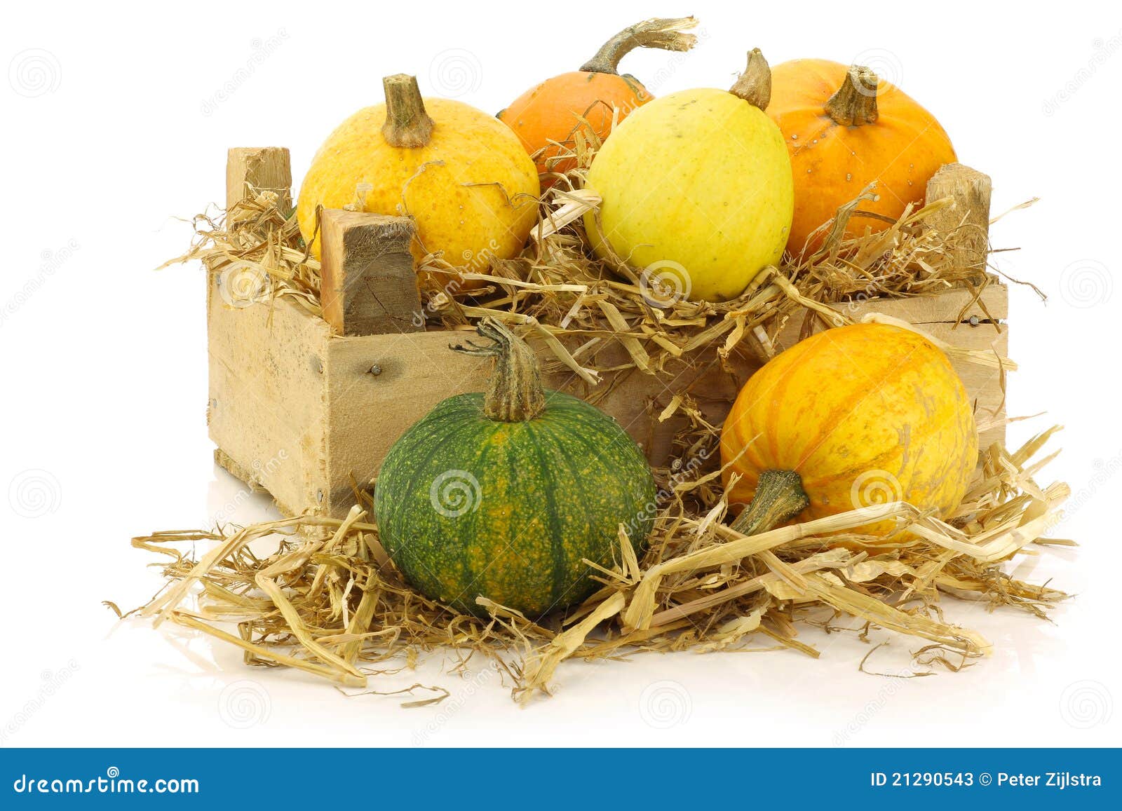 Colorful Pumpkins and Straw Stock Image - Image of organic, straw: 21290543