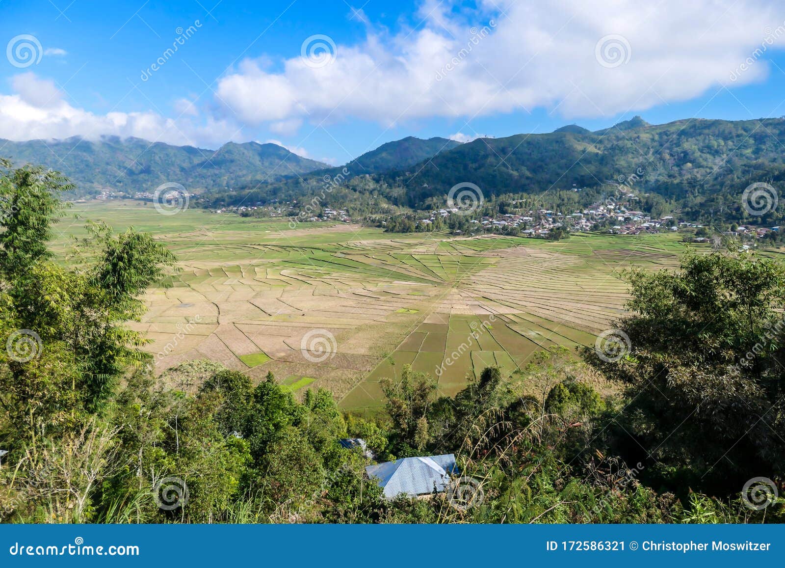 the colorful rice paddies forming a giant spider web in ruteng, on island of flores, indonesia, seen from above. there are