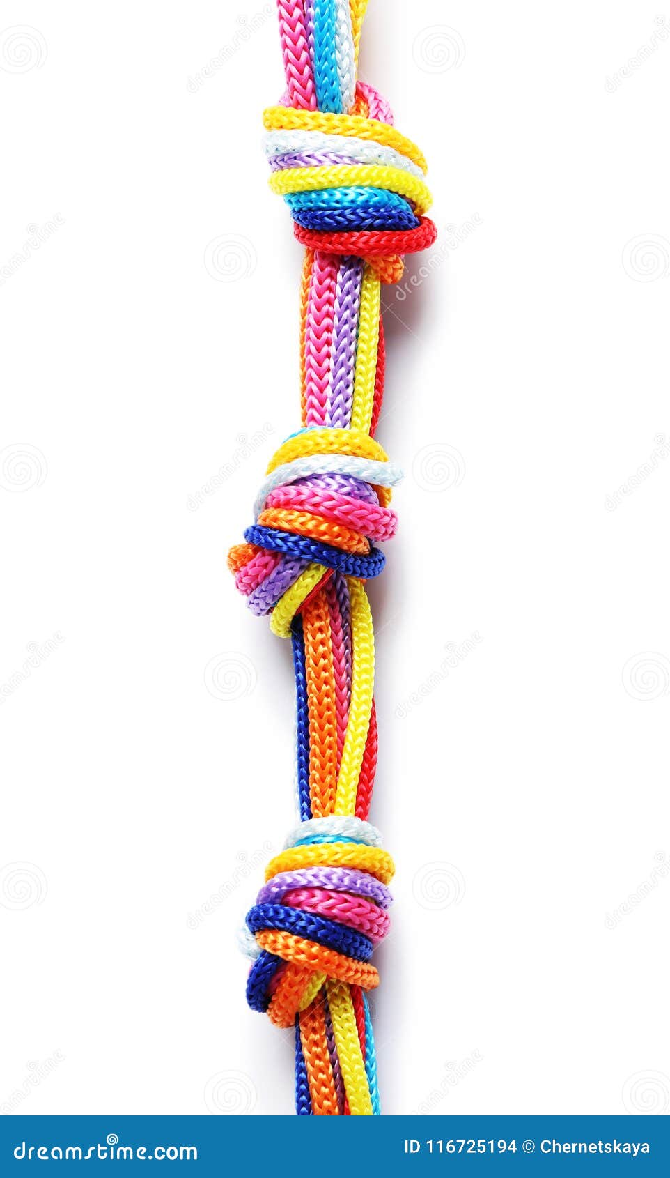 Colorful ropes tied together with knot isolated on white. Unity concept  Stock Photo - Alamy