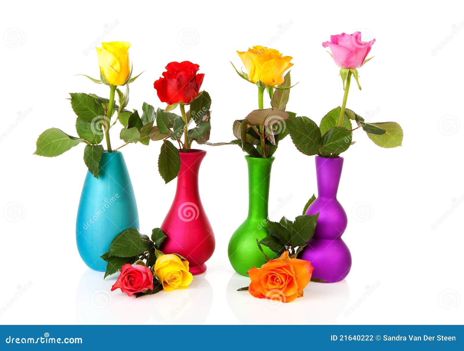 Colorful roses in vases stock photo. Image of valentines 21640222