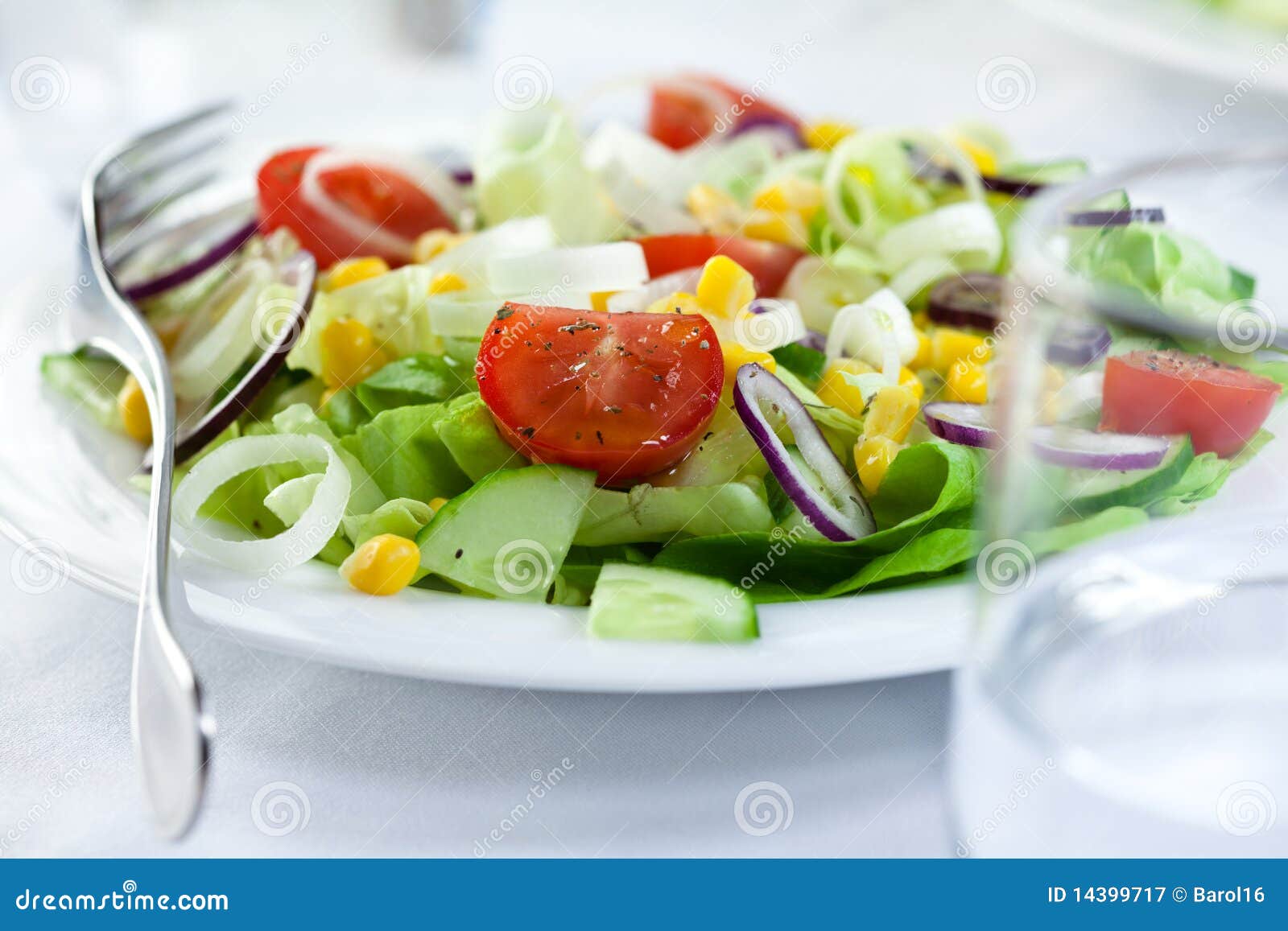 Colorful Salad stock image. Image of dinner, food, salad 14399717