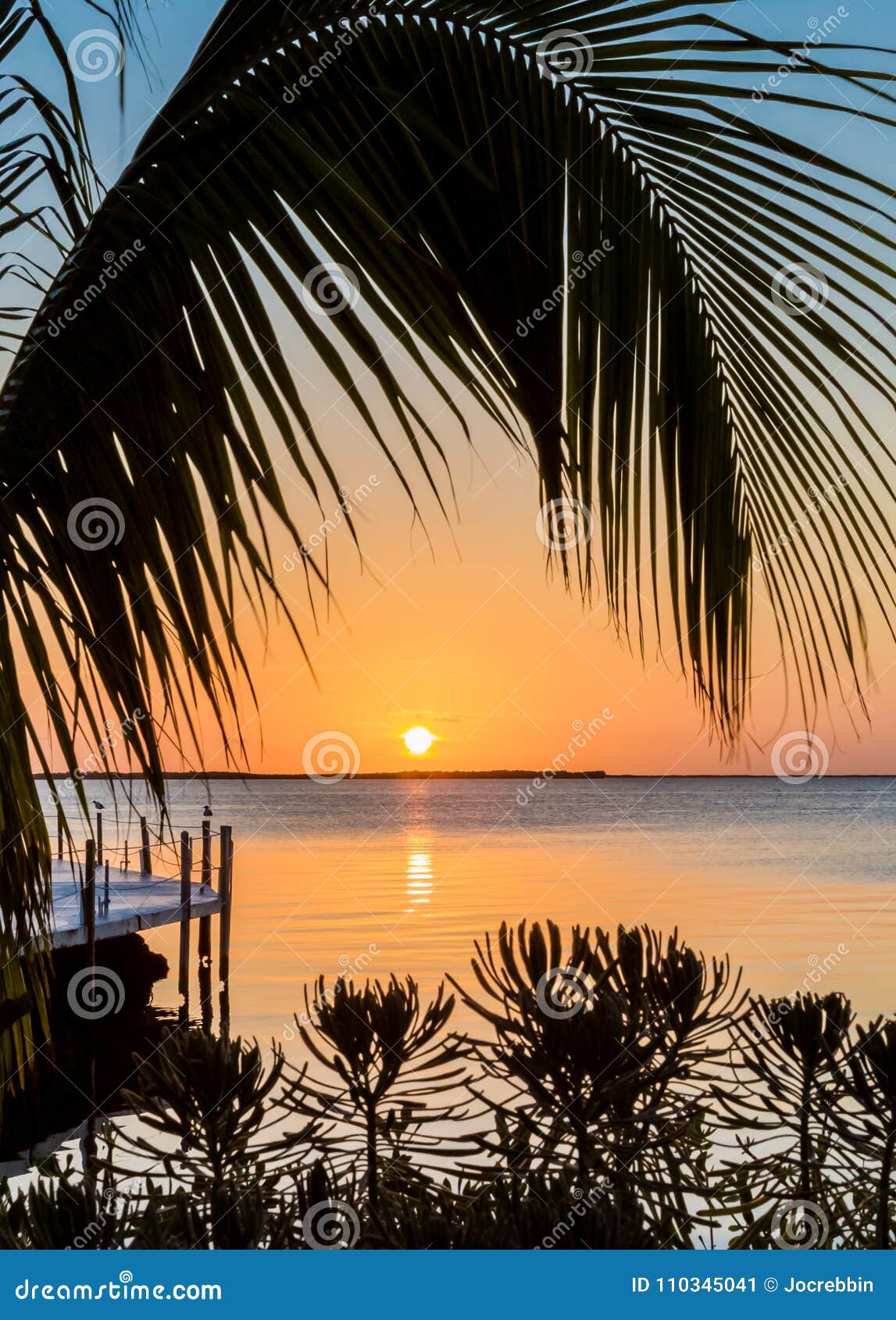 Scenic Tropical Florida Keys Sunset Stock Image Image of keys, animal