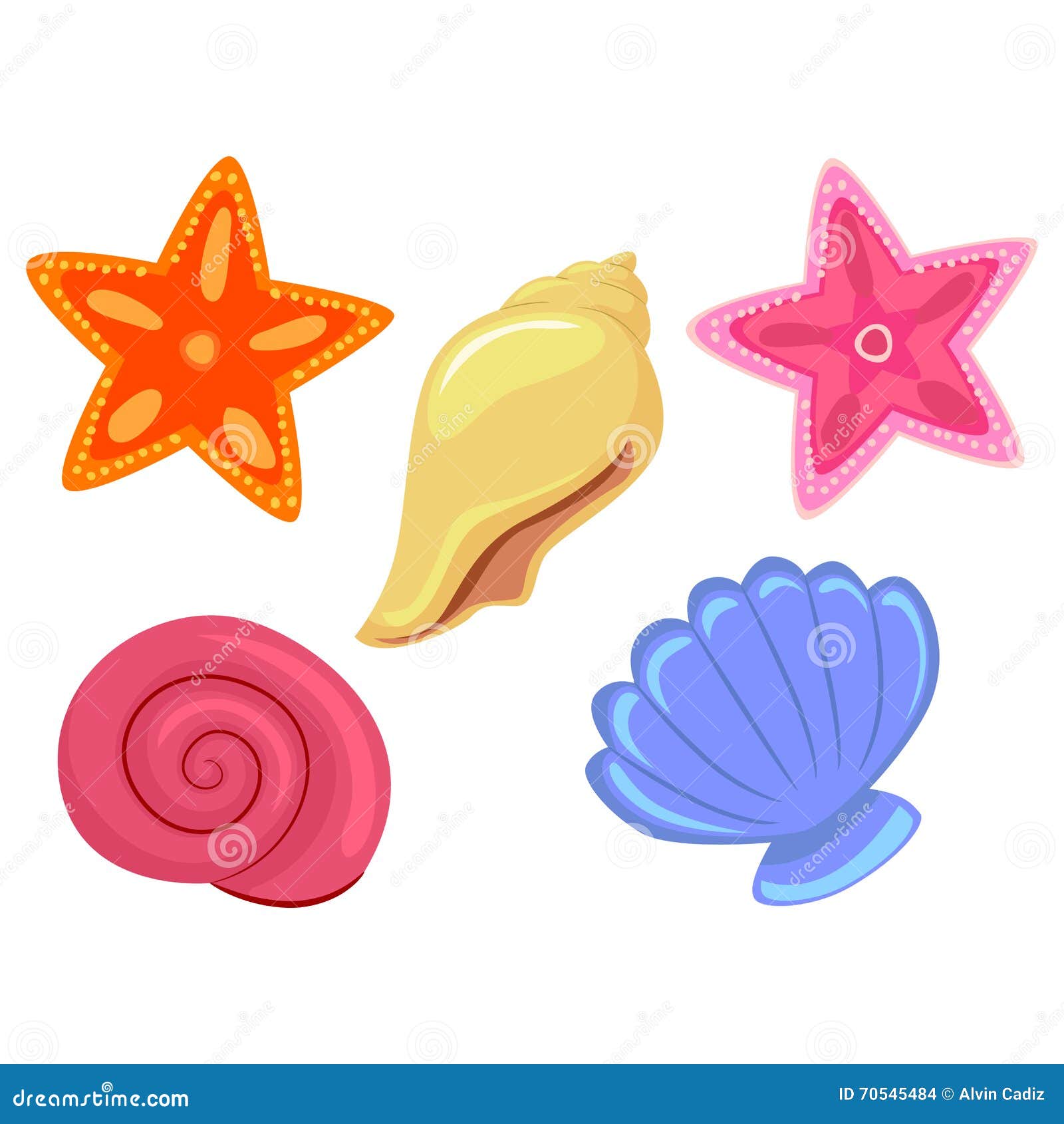 colorful sea shells and starfish