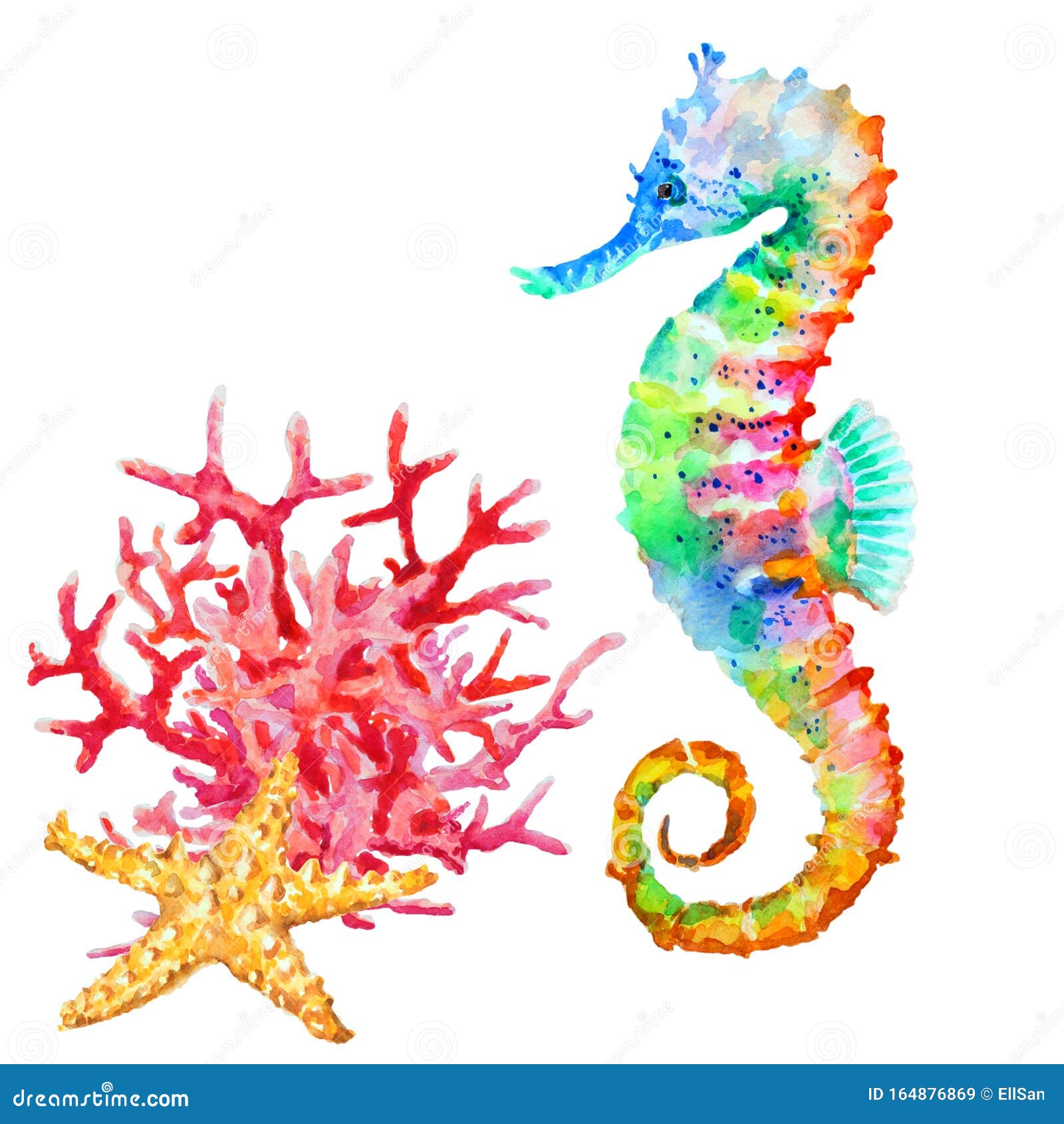 seahorse colorful