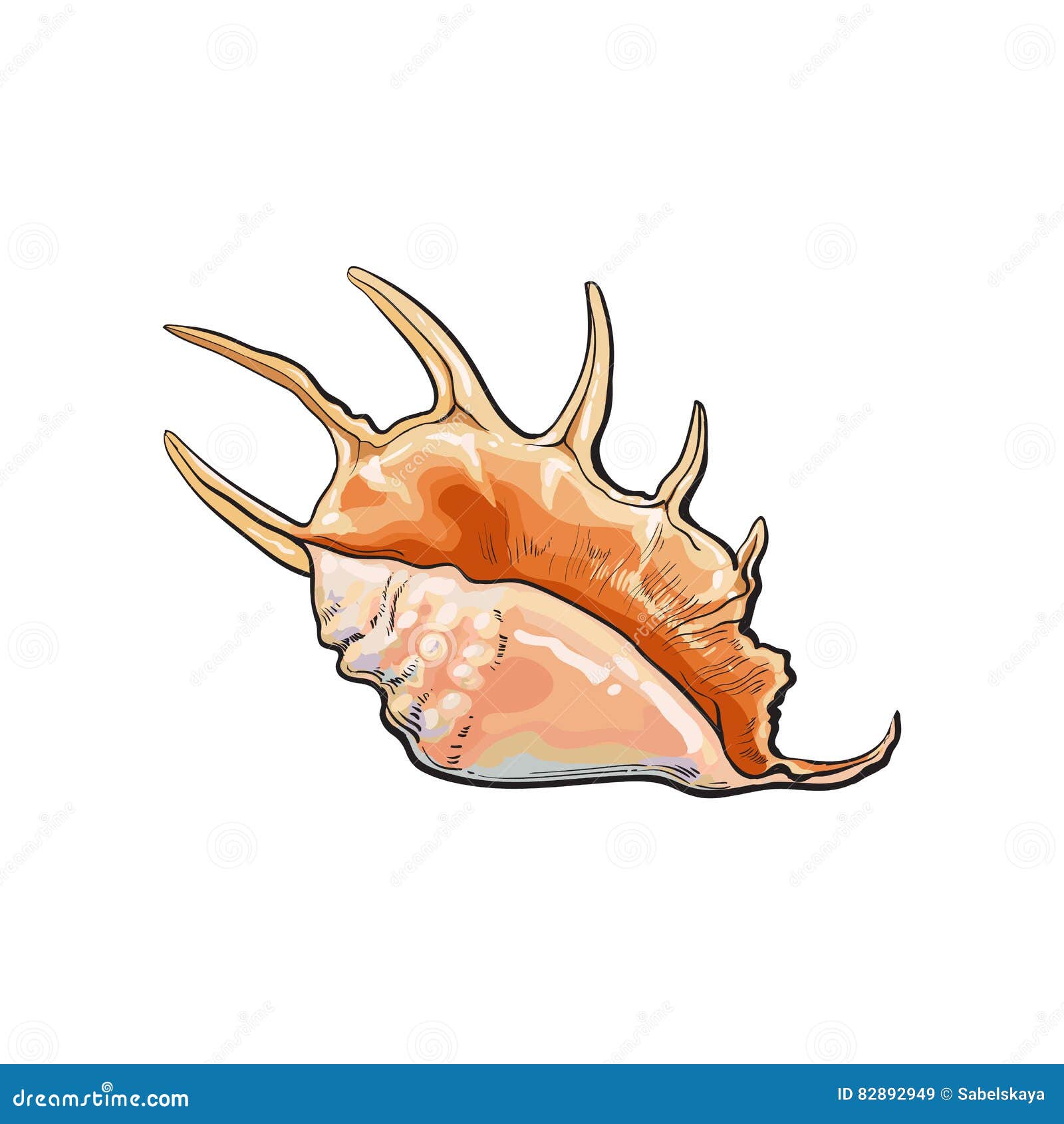 Colorful Spiral Conch Sea Shell, Isolated Sketch Style Vector