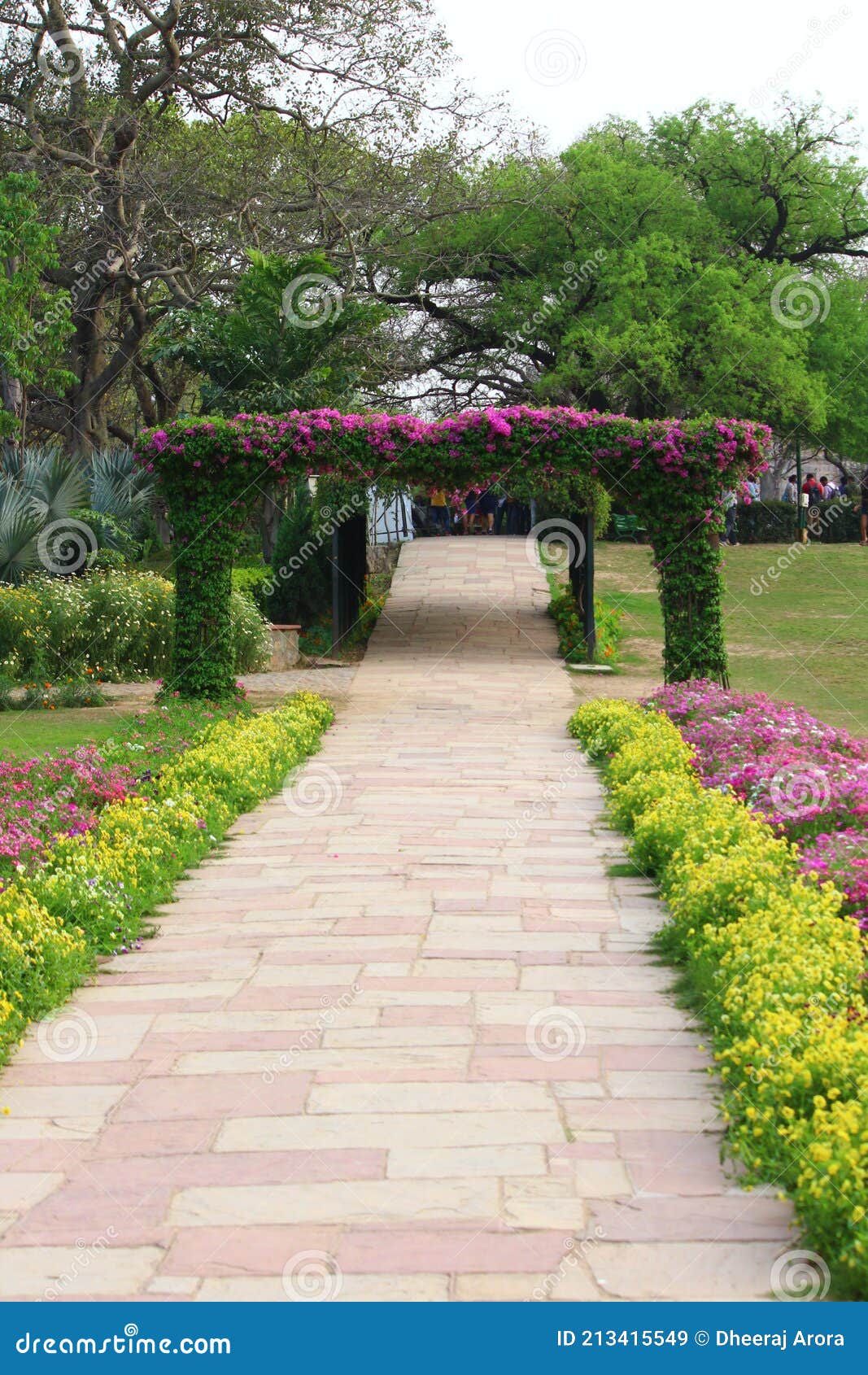 Colorful Spring Flowers in Lodi Gardens Stock Image - Image of ...