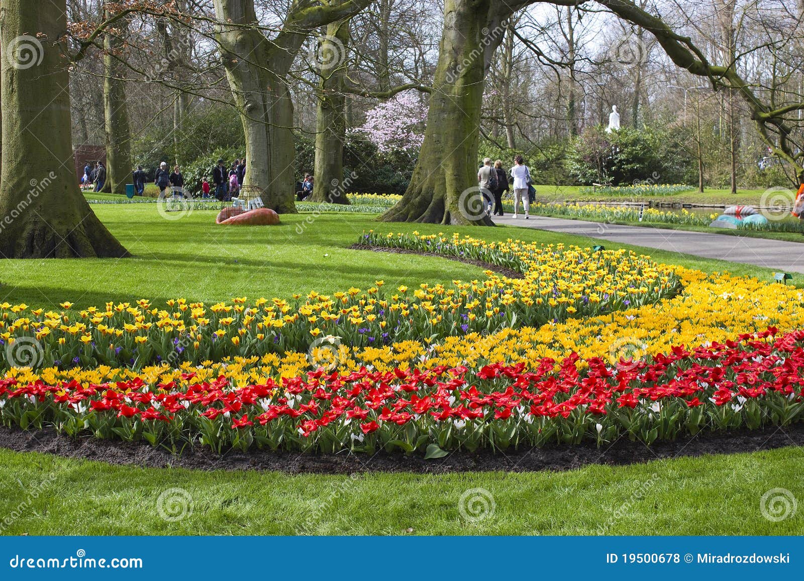 Colorful Spring Flowers in the Park Editorial Stock Photo Image of