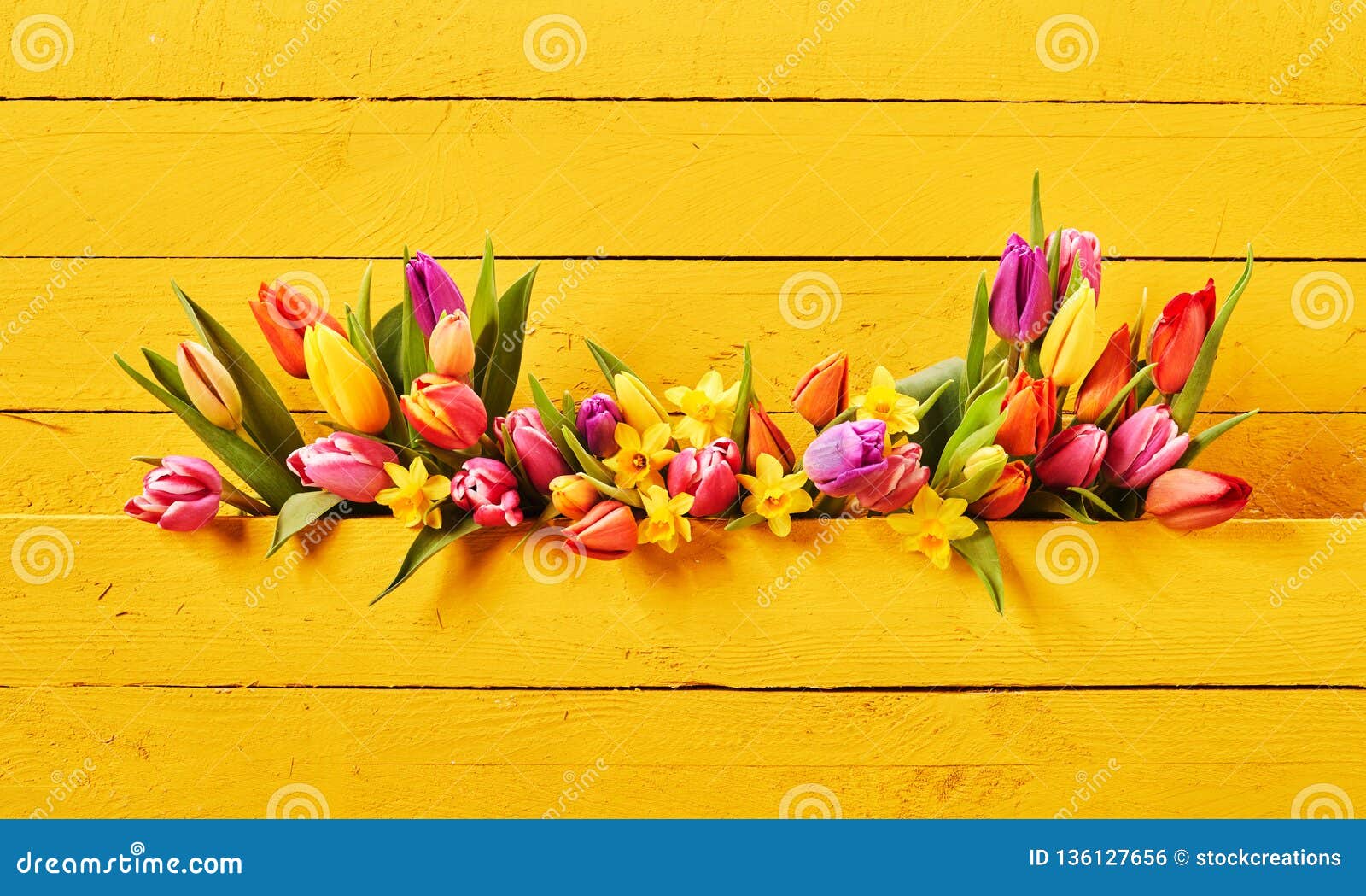 colorful springtime flowers on yellow background