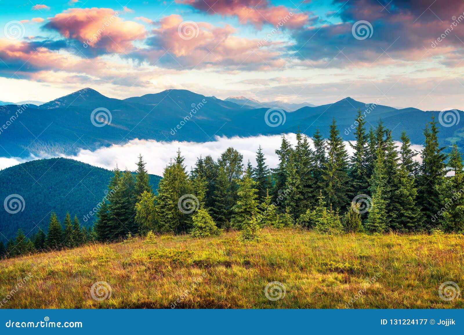 Colorful Summer Sunrise In The Carpathian Mountains Stock Image