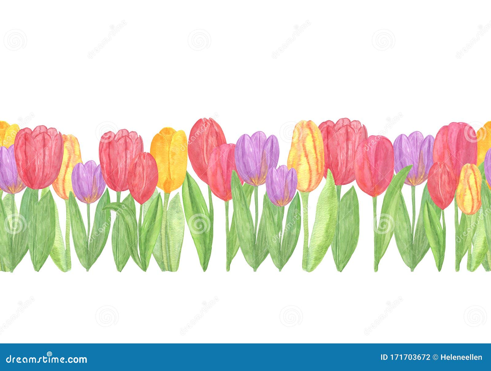 Colorful Tulips Repeat Pattern Horizontal Border Watercolor Spring