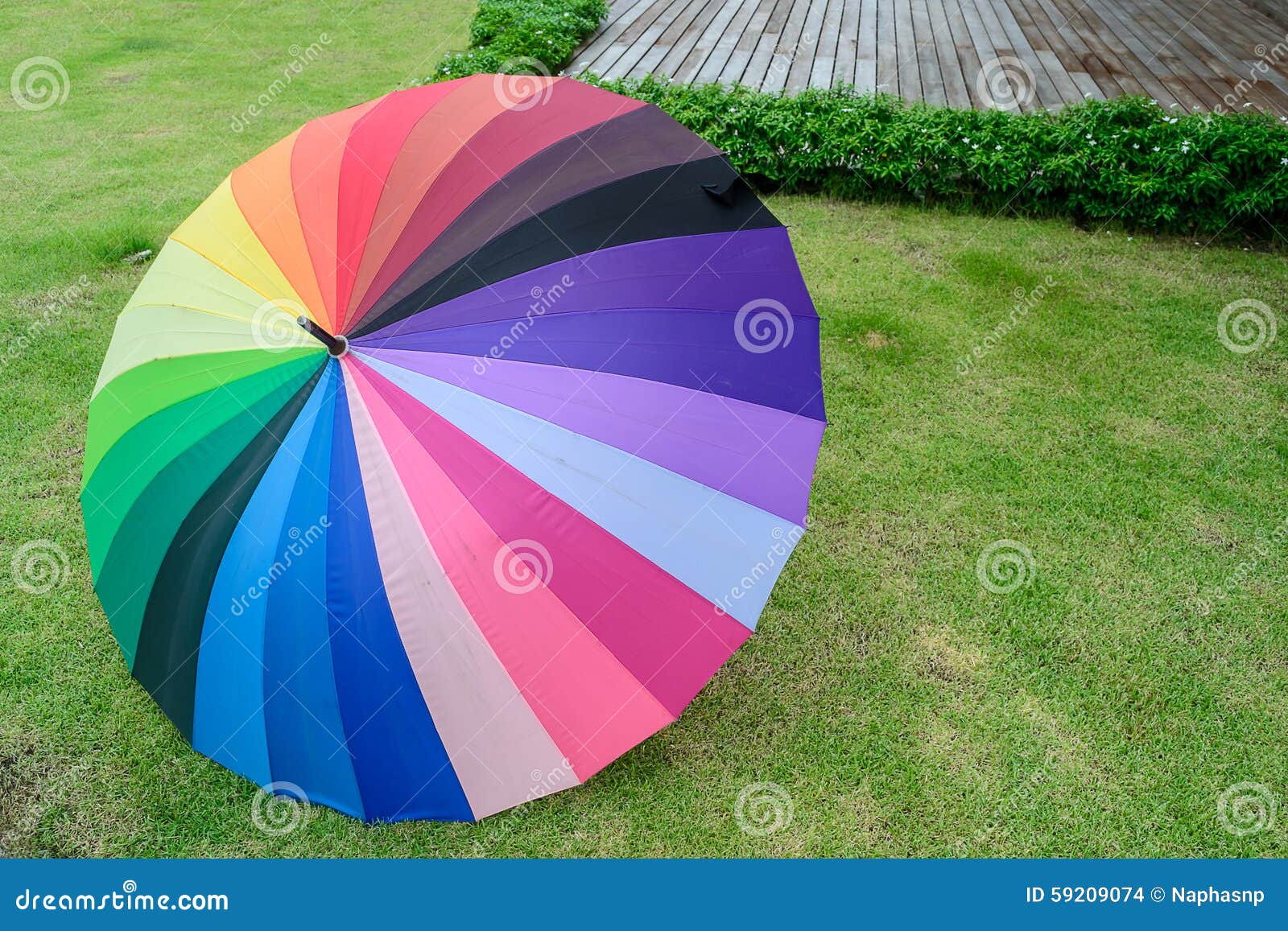 Colorful Umbrella on Green Grass Stock Photo Image of outside, bright 59209074