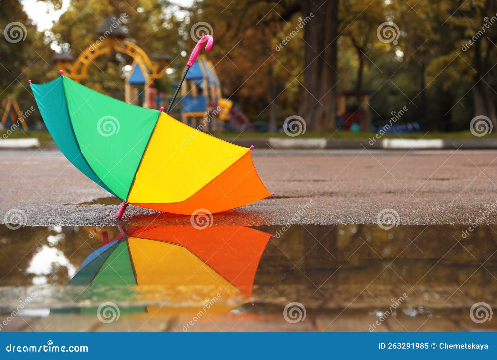 Colorful Umbrella Near Puddle Outdoors, Space for Text Stock Image