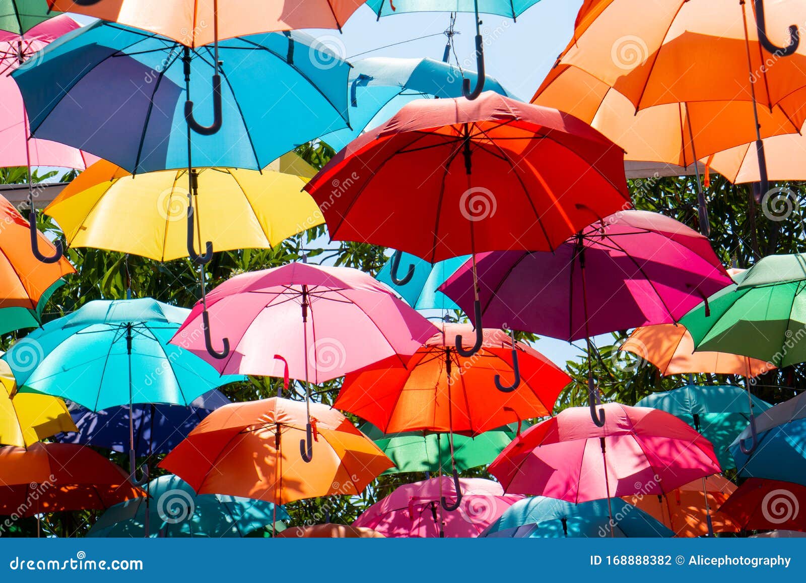 Colorful Umbrella Pattern Background Editorial Photography Image Of Backdrop Festival 168 Colorful Umbrella Pattern Background Editorial Photography Image Of Backdrop Festival 168
