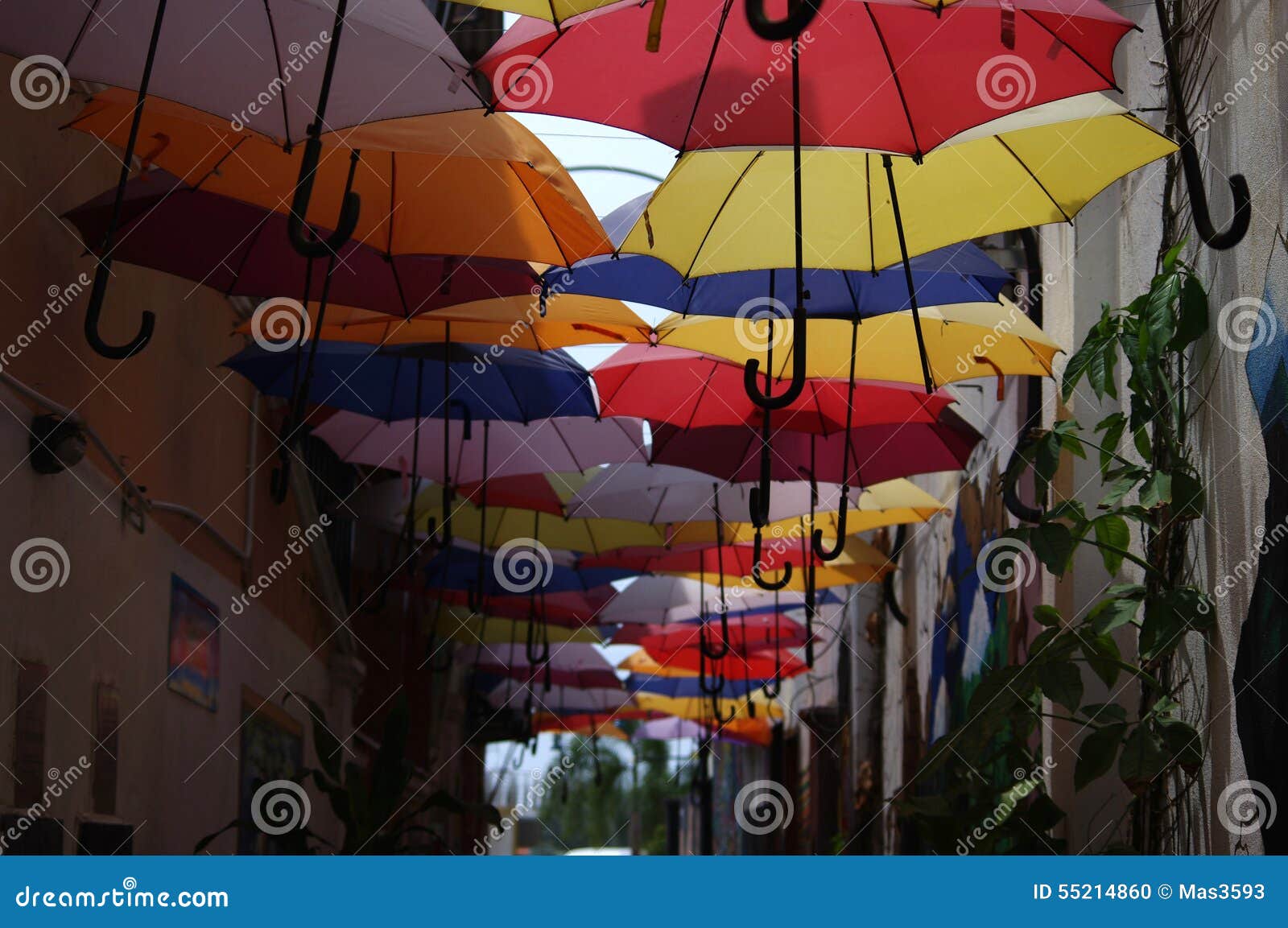 Colorful umbrella road stock photo. Image of relax, umbrella 55214860