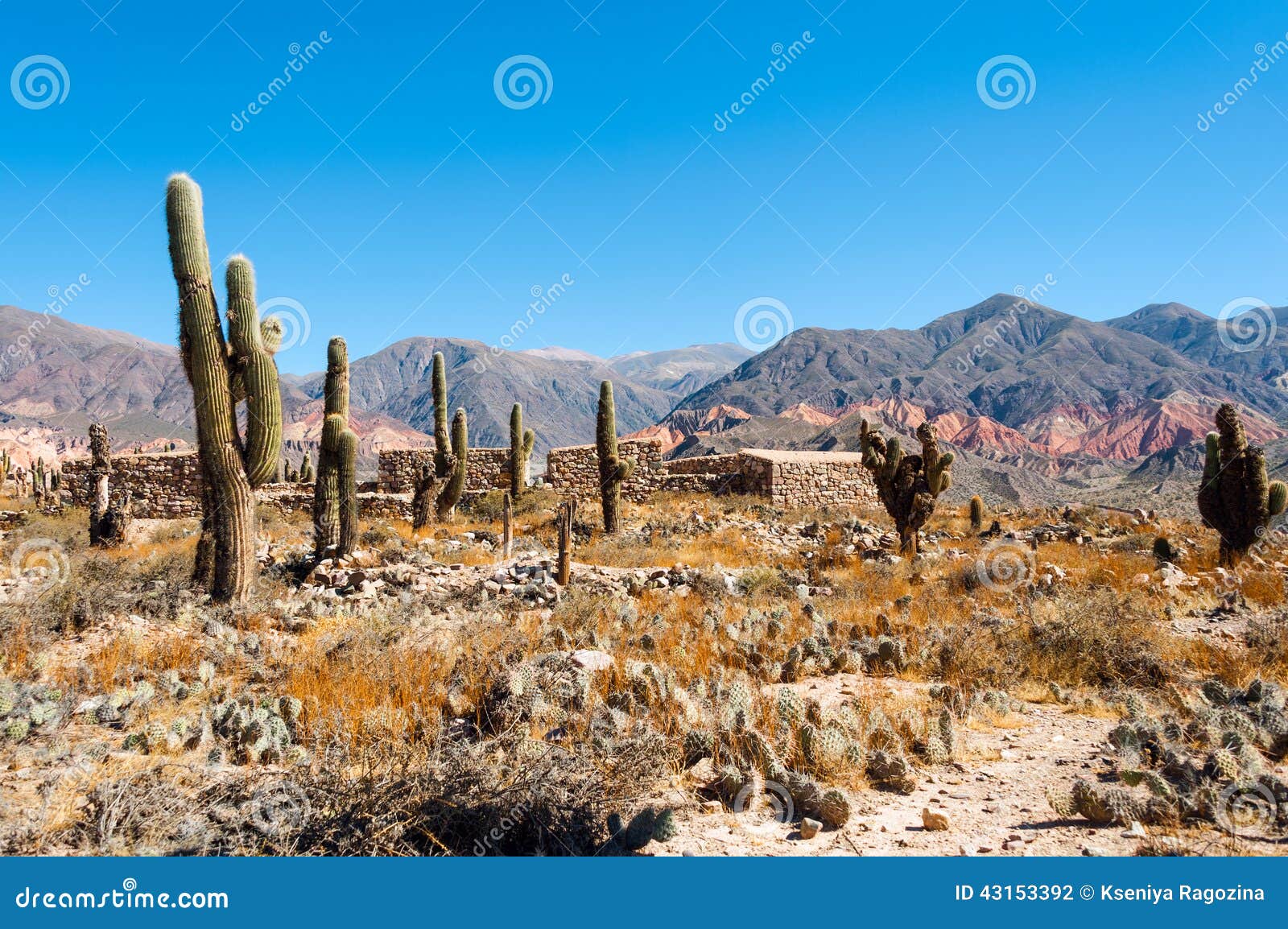 colorful valley humahuaca, central andes altiplano