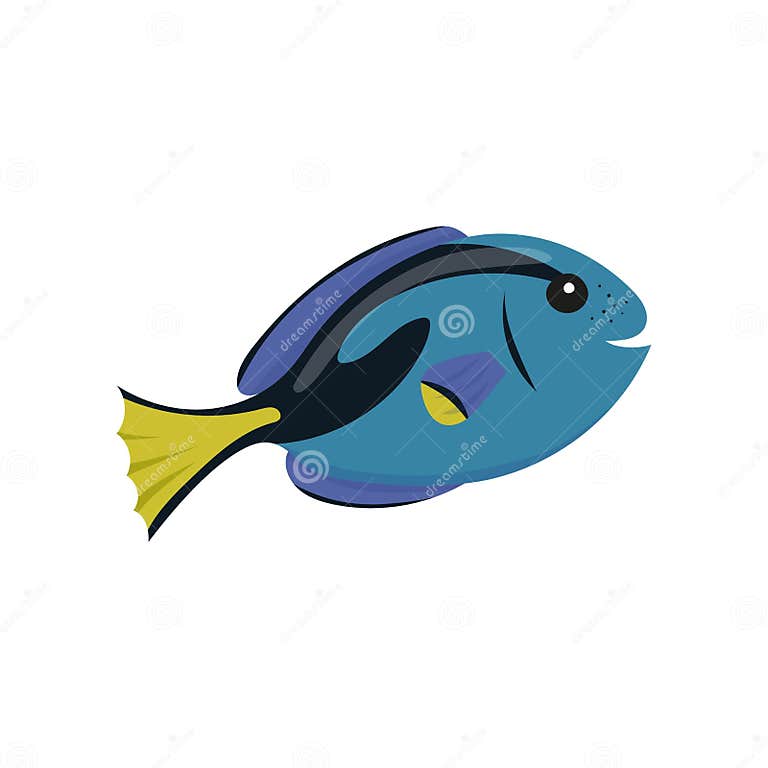 Colorful Vector Illustration of Blue Tang (Paracanthurus Hepatus