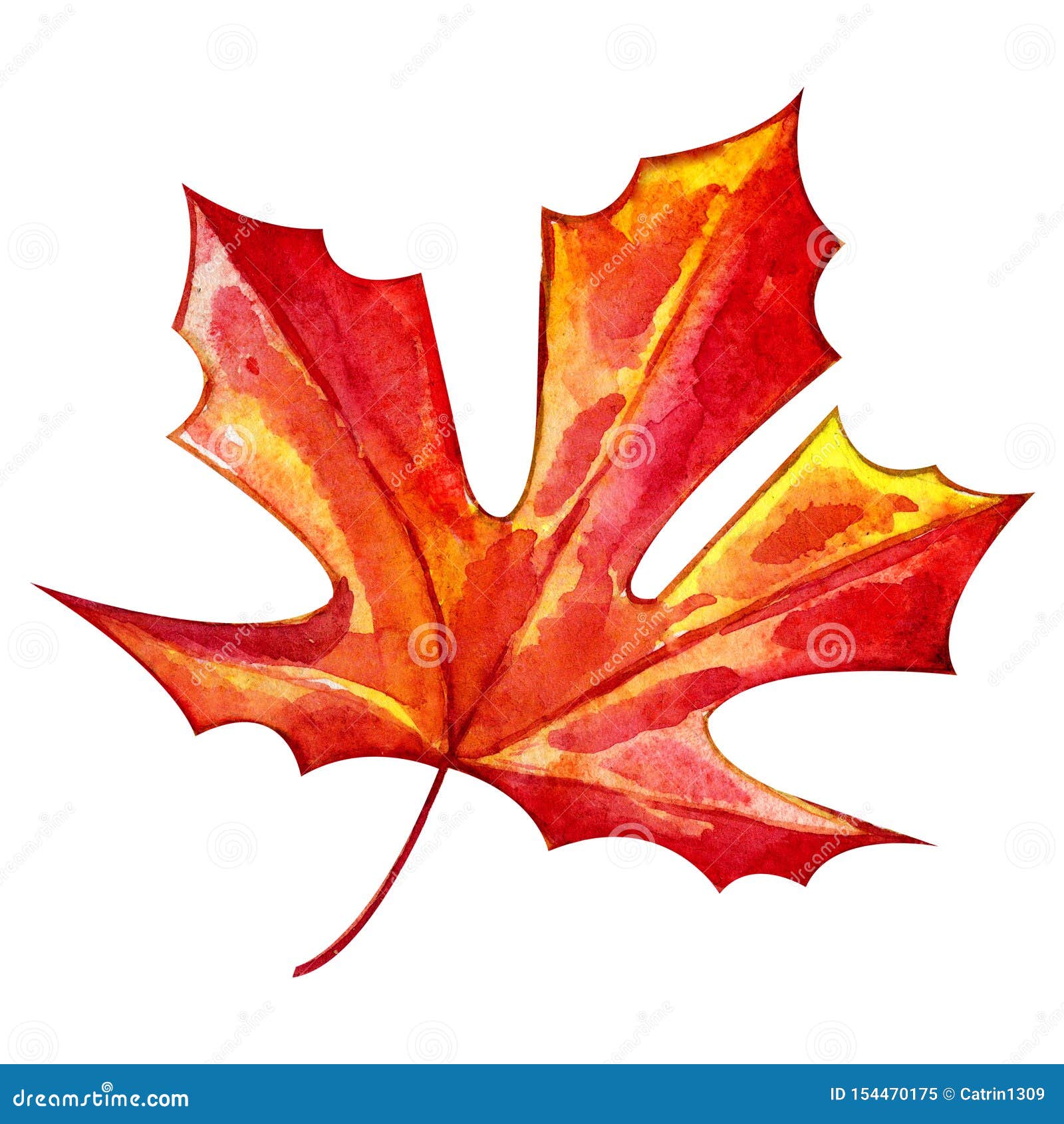 Colorful drawing of decorative maple leaf. Traditional autumn season  symbol. Cute shape, bright warm colour. Handdrawn watercolour paint on  white backdrop, cutout clipart for design and decoration. Stock Illustration