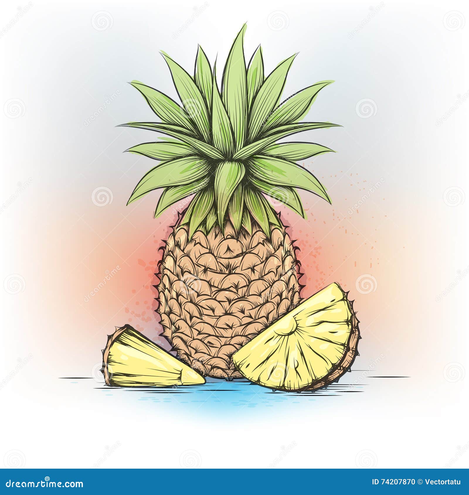 Colorful Watercolor Pineapple Stock Vector Illustration of nature