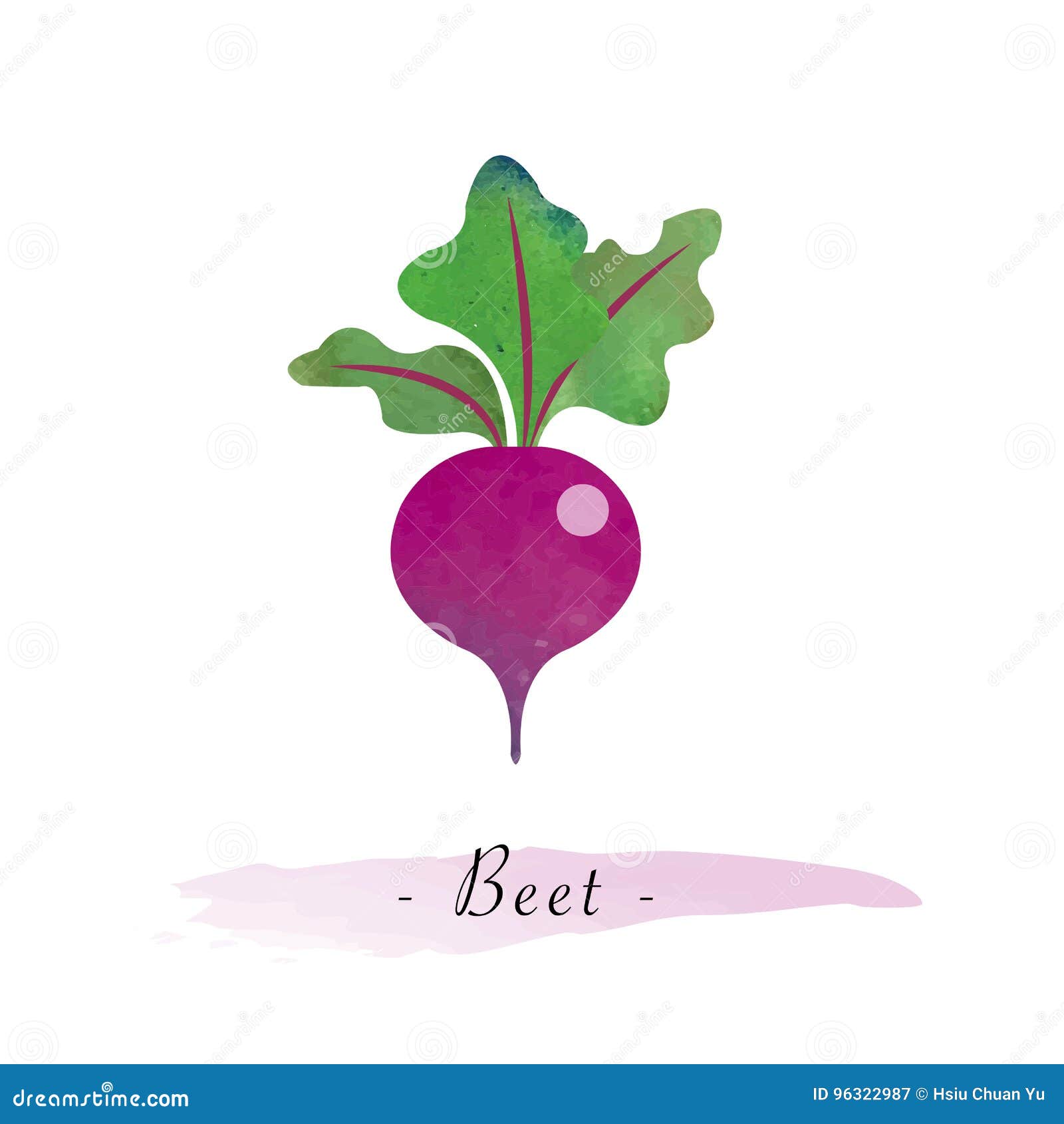 A Colorful Watercolor Texture Healthy Vegetable Beet Stock Vector