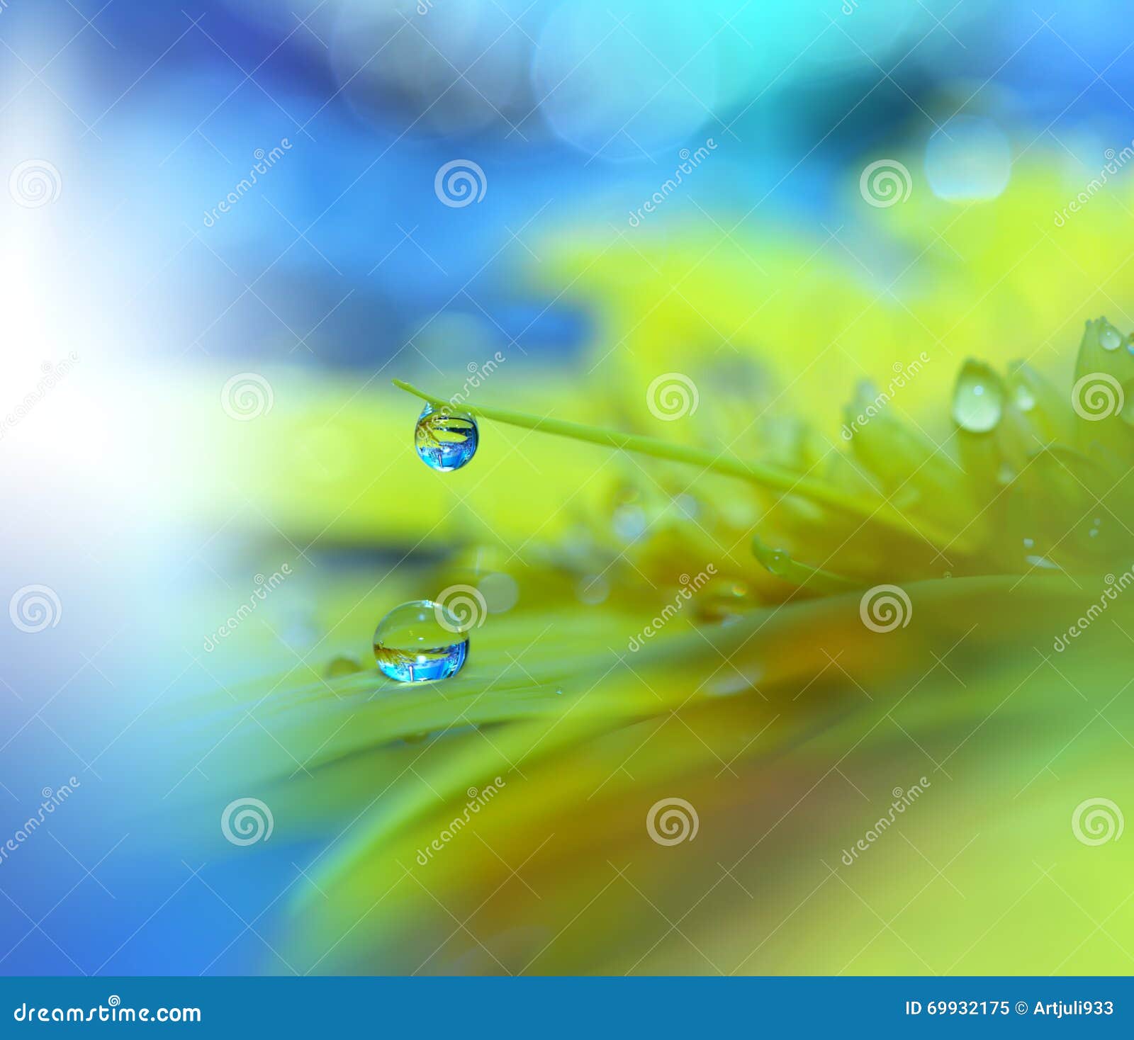 Beautiful Natureart Photographyfloral Fantasy Designcolorful