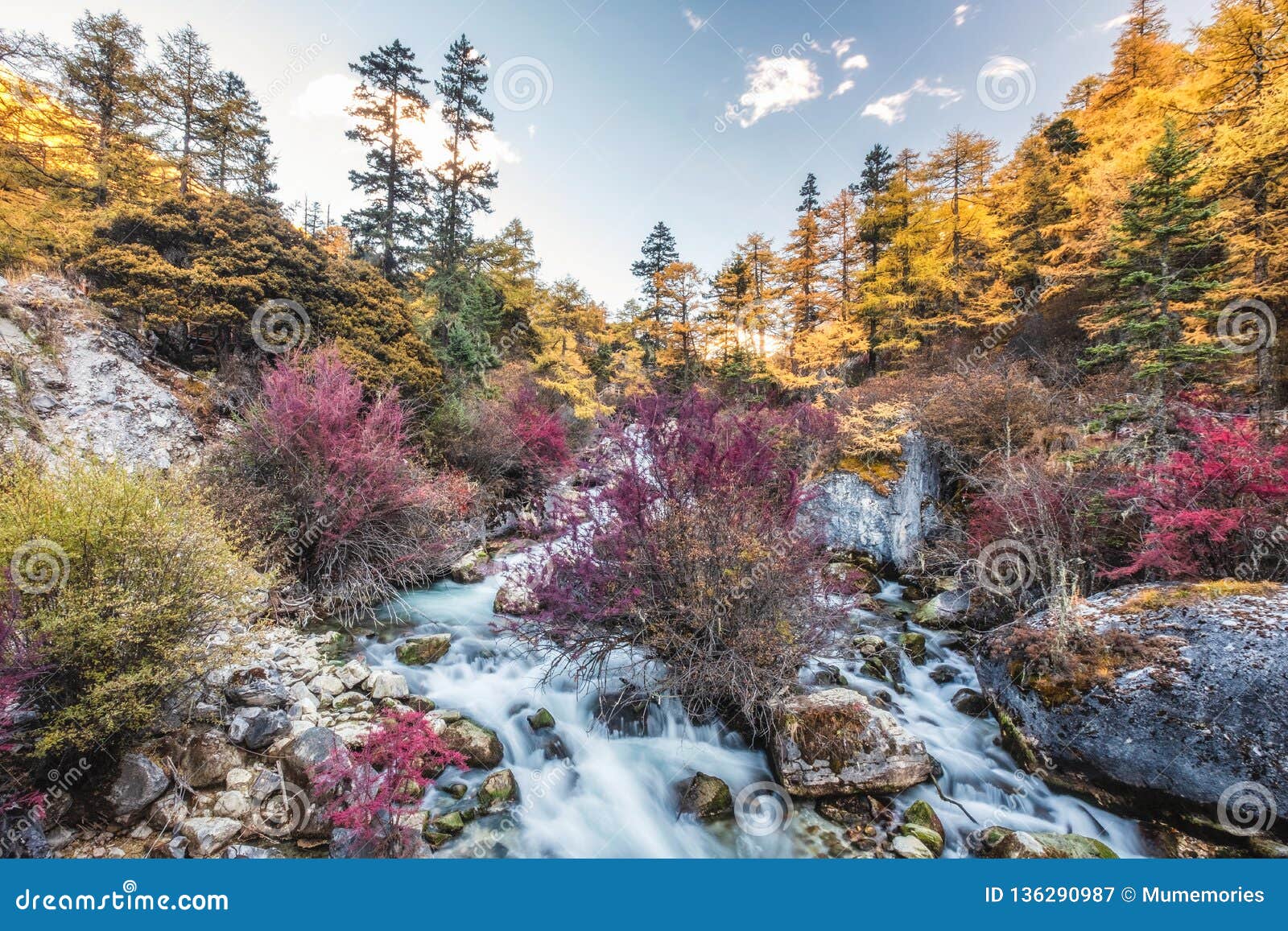 Colorful Waterfall In Autumn Forest Stock Image Image Of Cascade